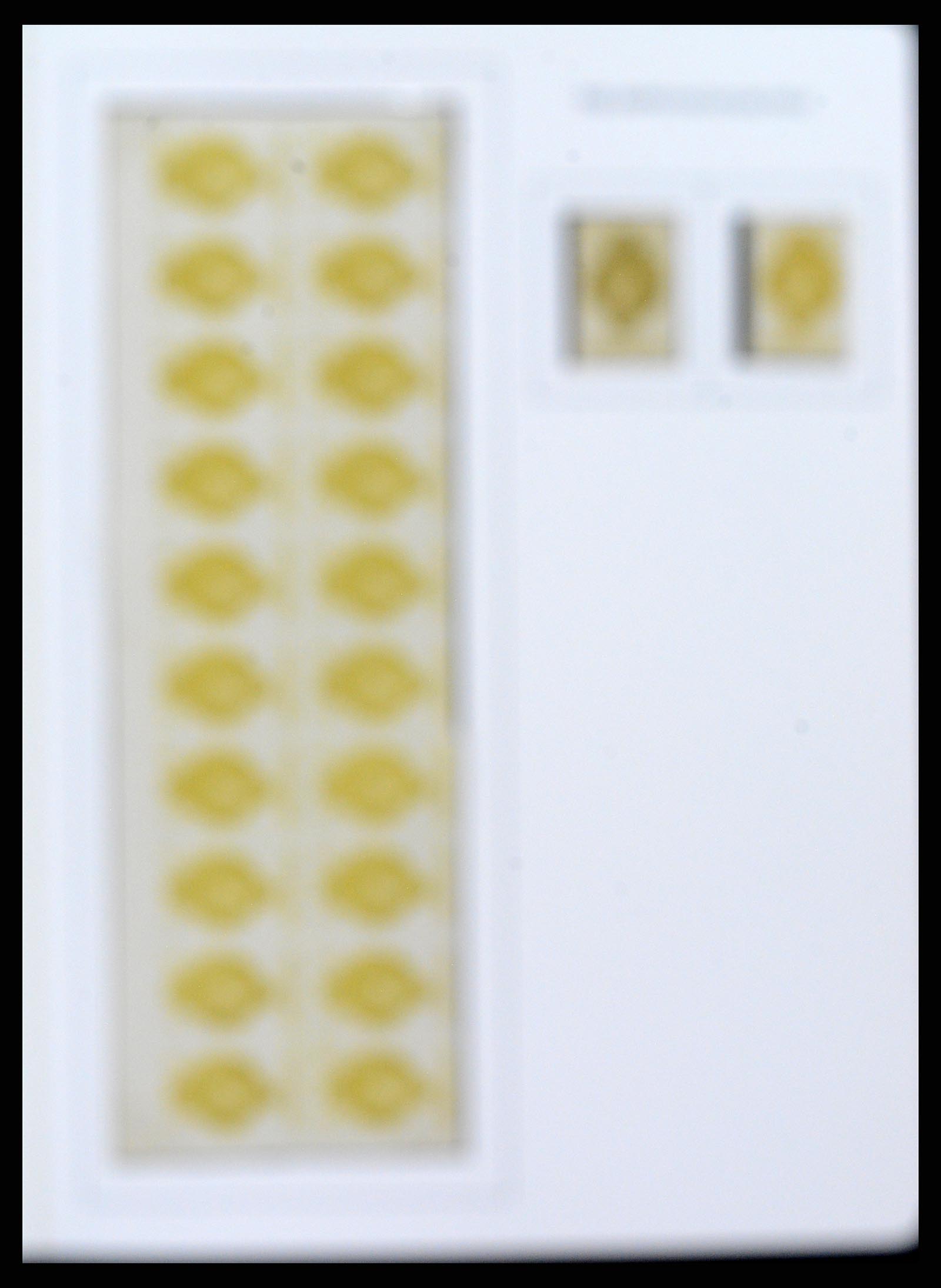 37150 0052 - Stamp collection 37150 Liechtenstein supercollection 1912-1962.