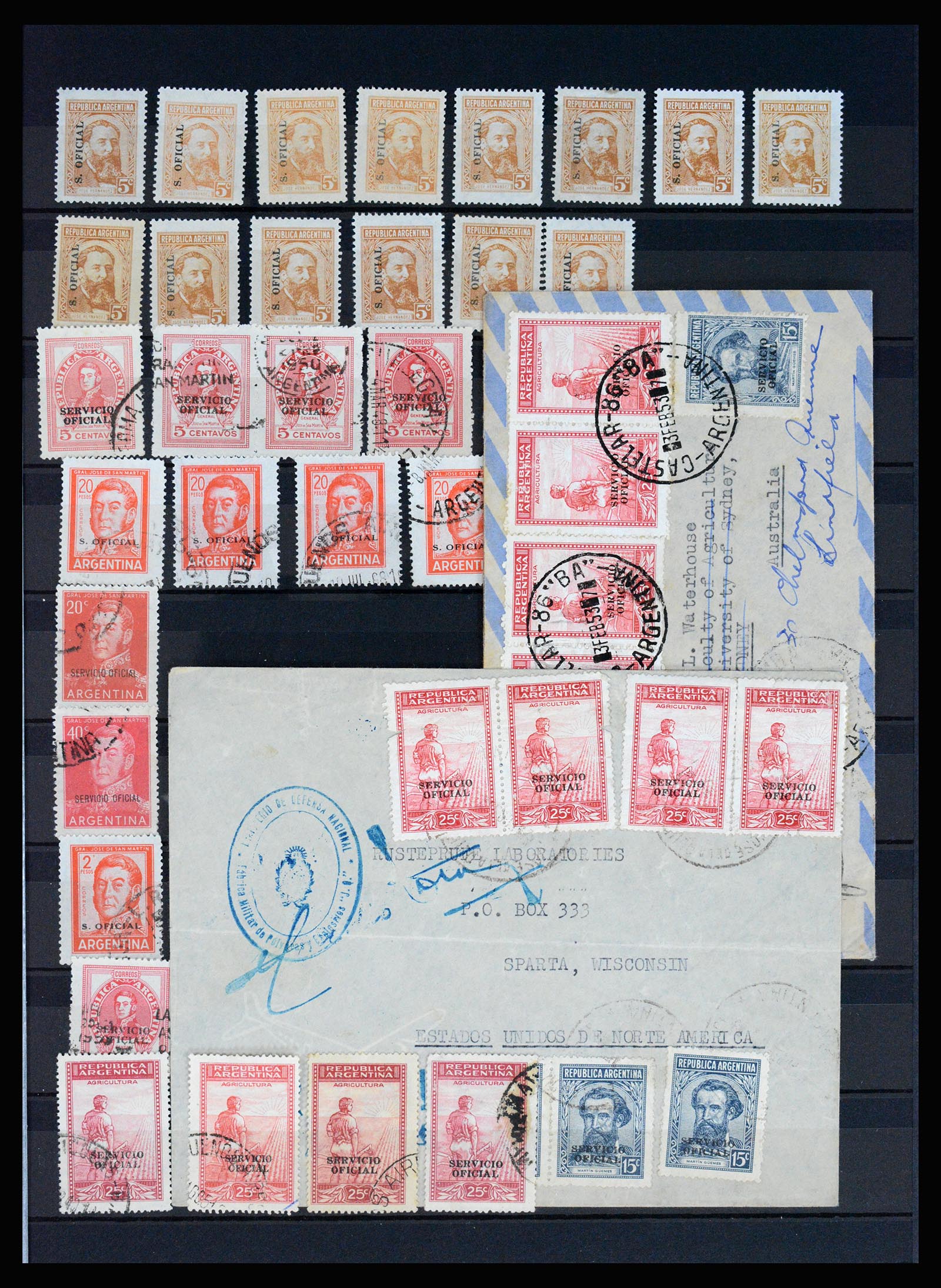 37156 009 - Postzegelverzameling 37156 Argentinië dienstzegels 1884-1968.