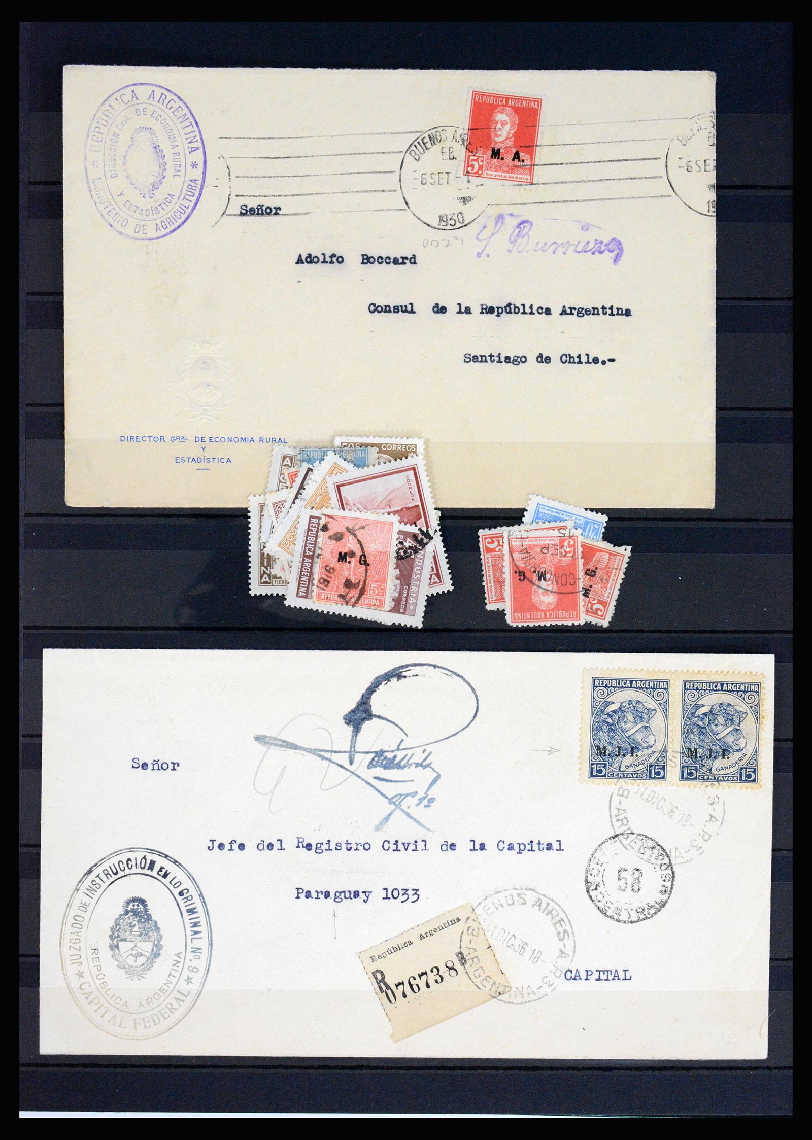 37156 016 - Postzegelverzameling 37156 Argentinië dienstzegels 1884-1968.