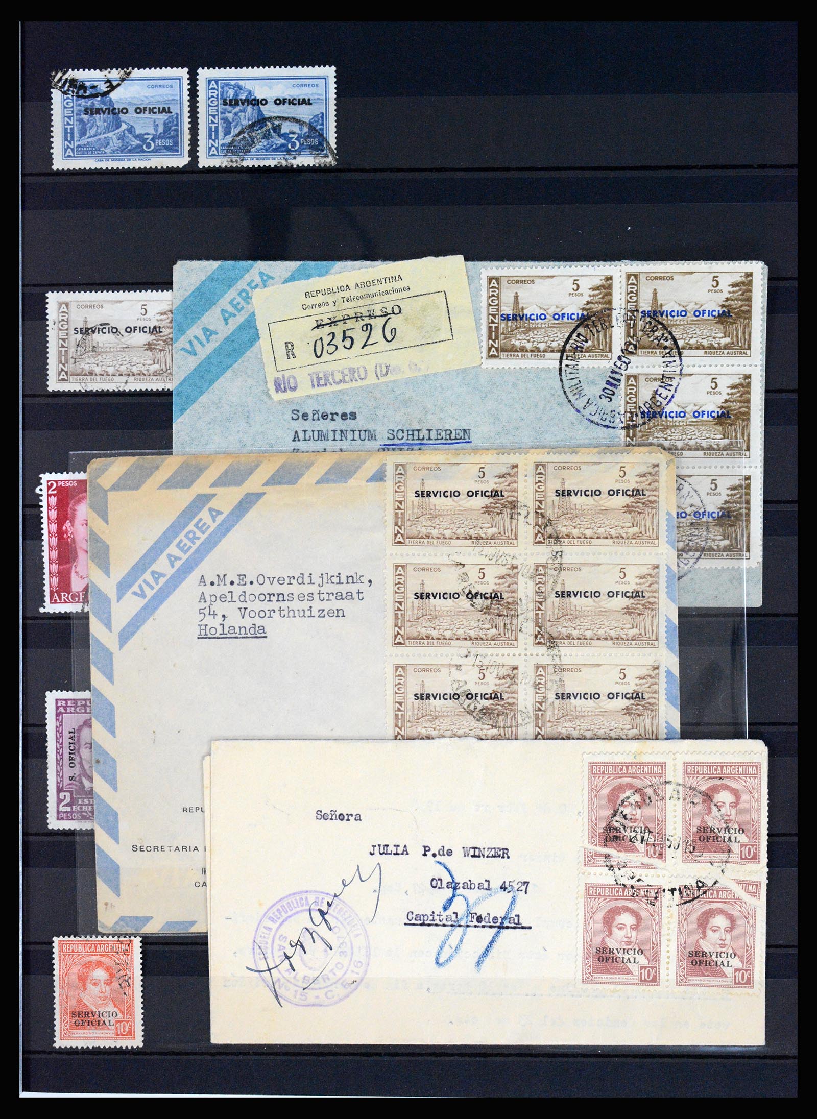 37156 017 - Postzegelverzameling 37156 Argentinië dienstzegels 1884-1968.