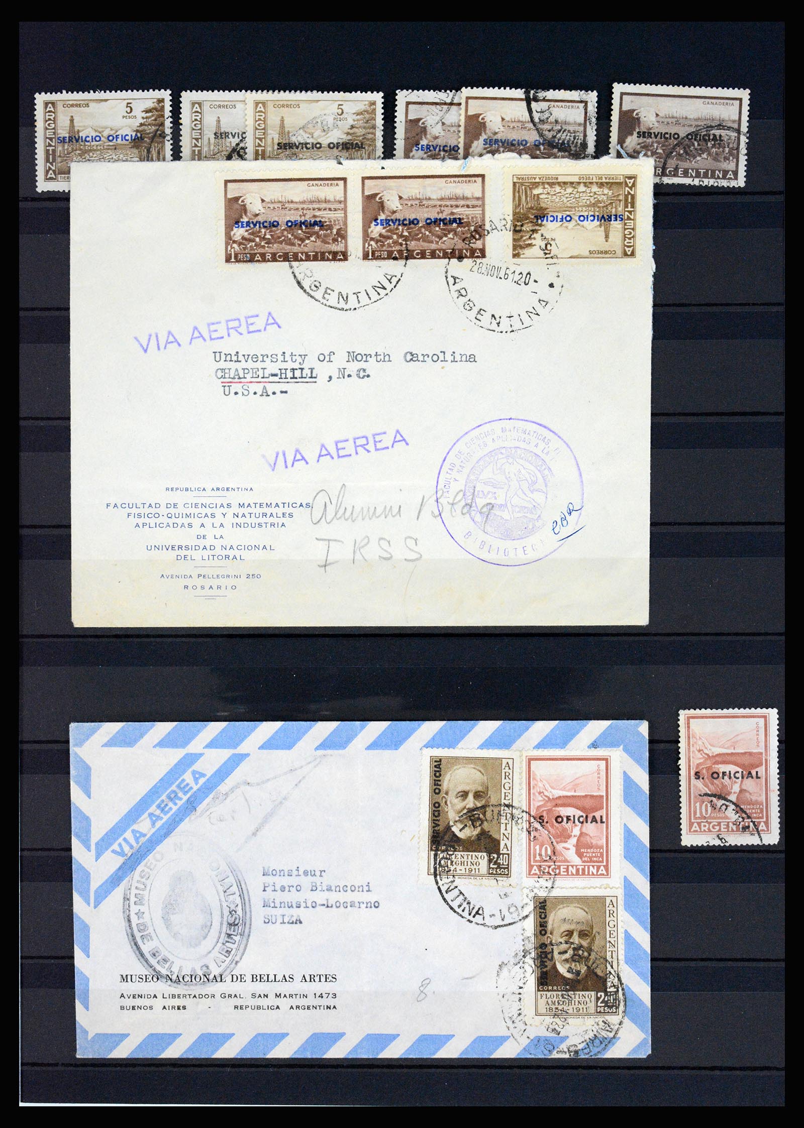 37156 021 - Postzegelverzameling 37156 Argentinië dienstzegels 1884-1968.