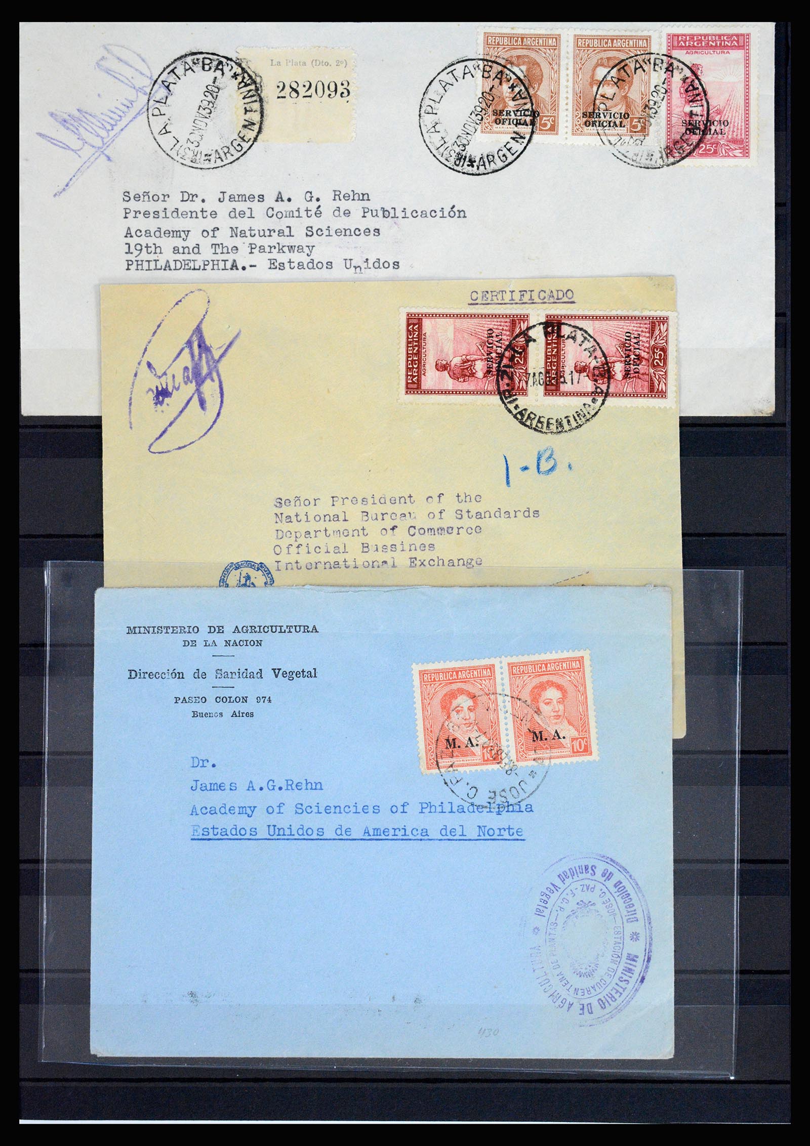 37156 023 - Postzegelverzameling 37156 Argentinië dienstzegels 1884-1968.