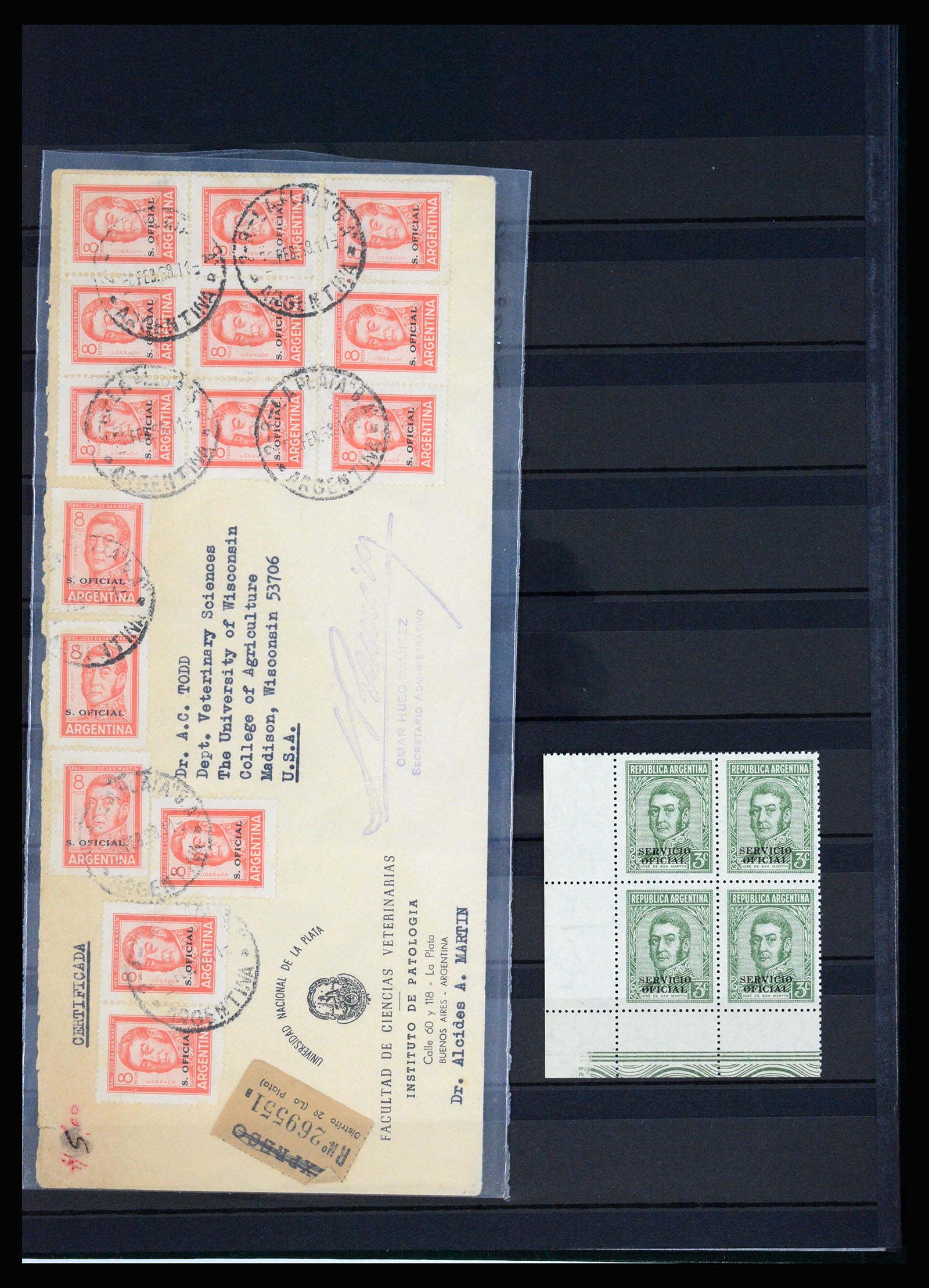 37156 030 - Postzegelverzameling 37156 Argentinië dienstzegels 1884-1968.