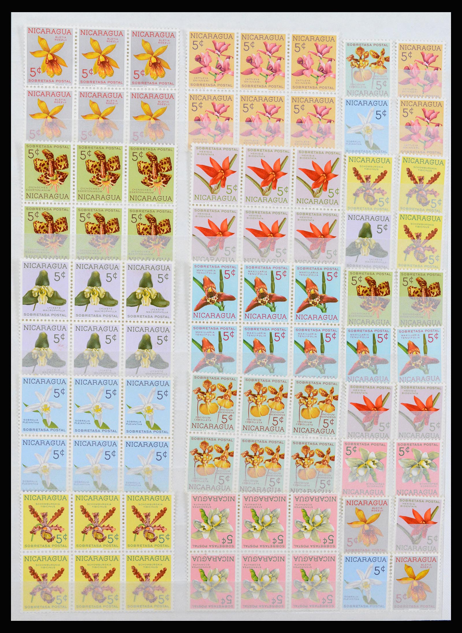 37176 024 - Postzegelverzameling 37176 Wereld 1855-1960.