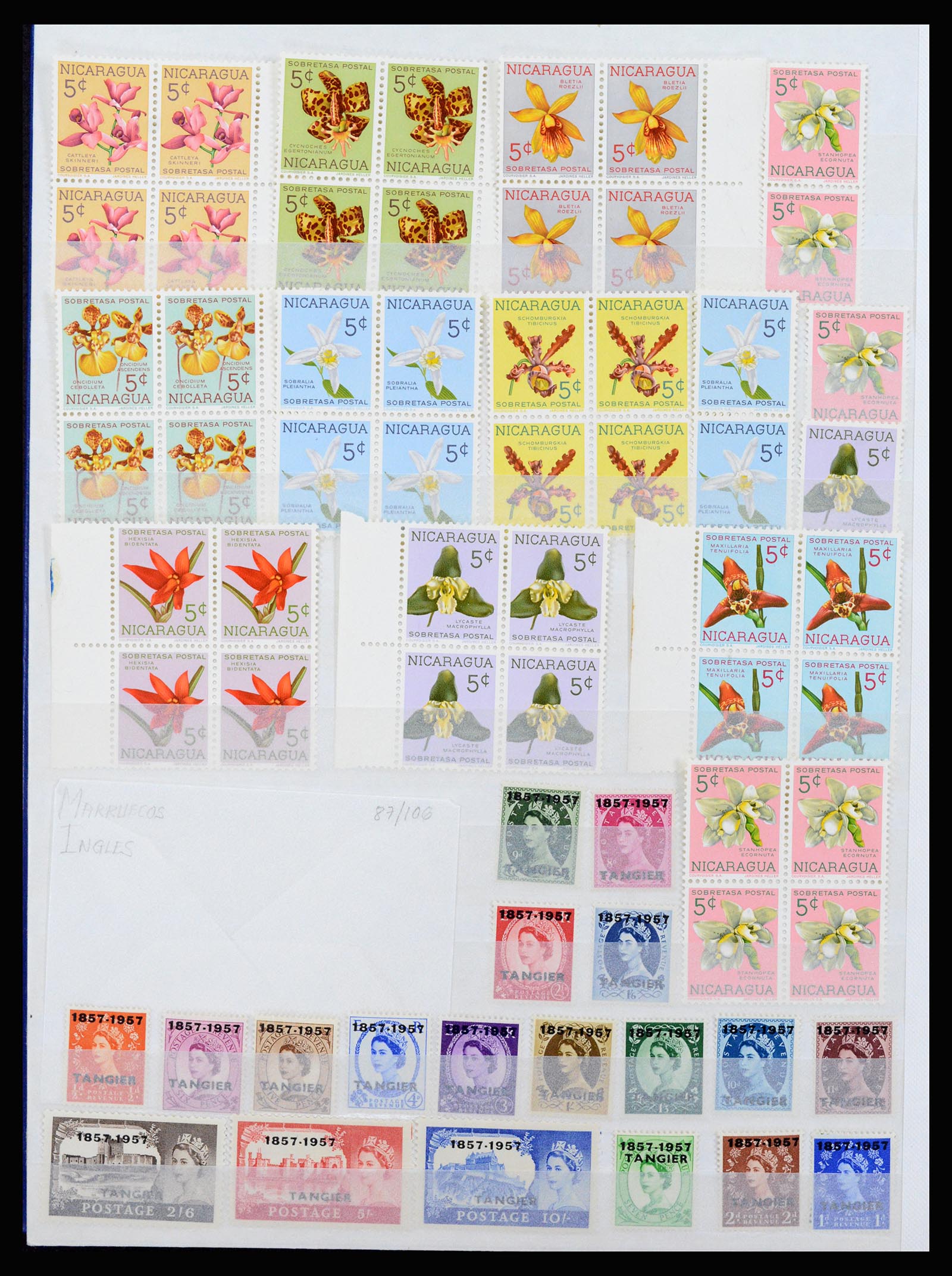 37176 026 - Postzegelverzameling 37176 Wereld 1855-1960.