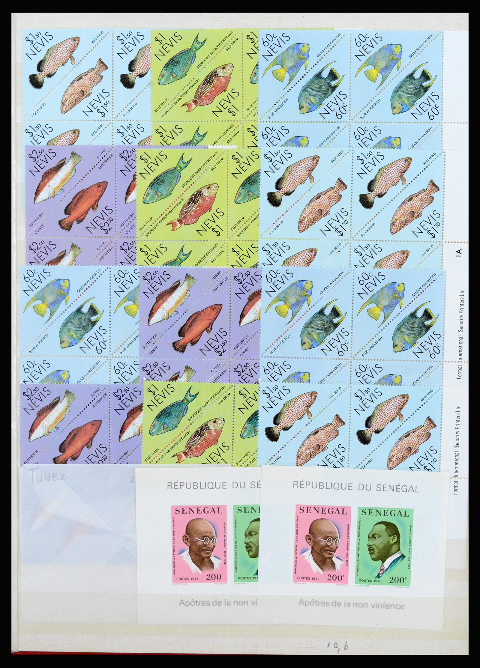 37176 035 - Postzegelverzameling 37176 Wereld 1855-1960.