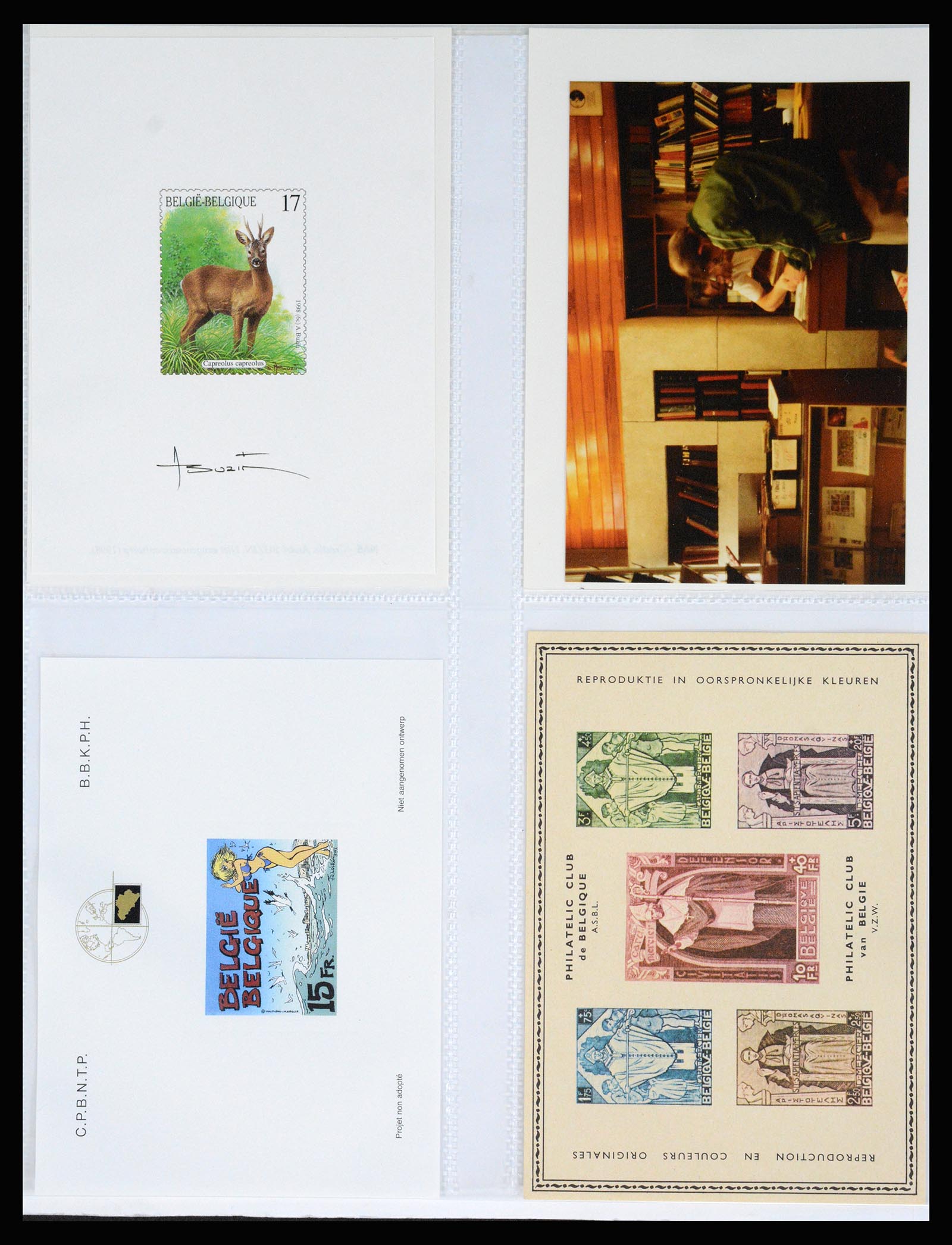 37179 282 - Postzegelverzameling 37179 België 1949-2000.