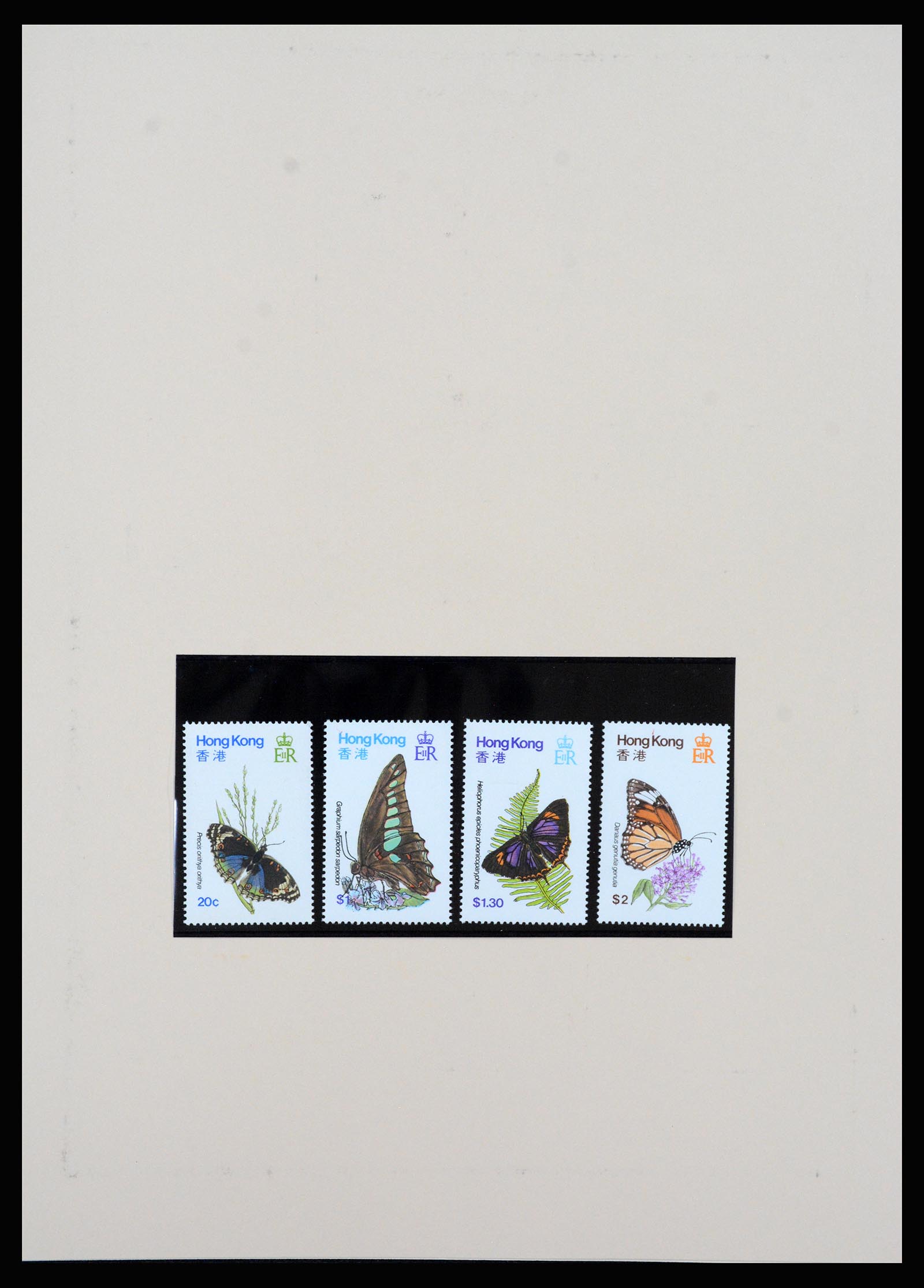 37210 036 - Stamp collection 37210 Hong Kong 1862-2000.