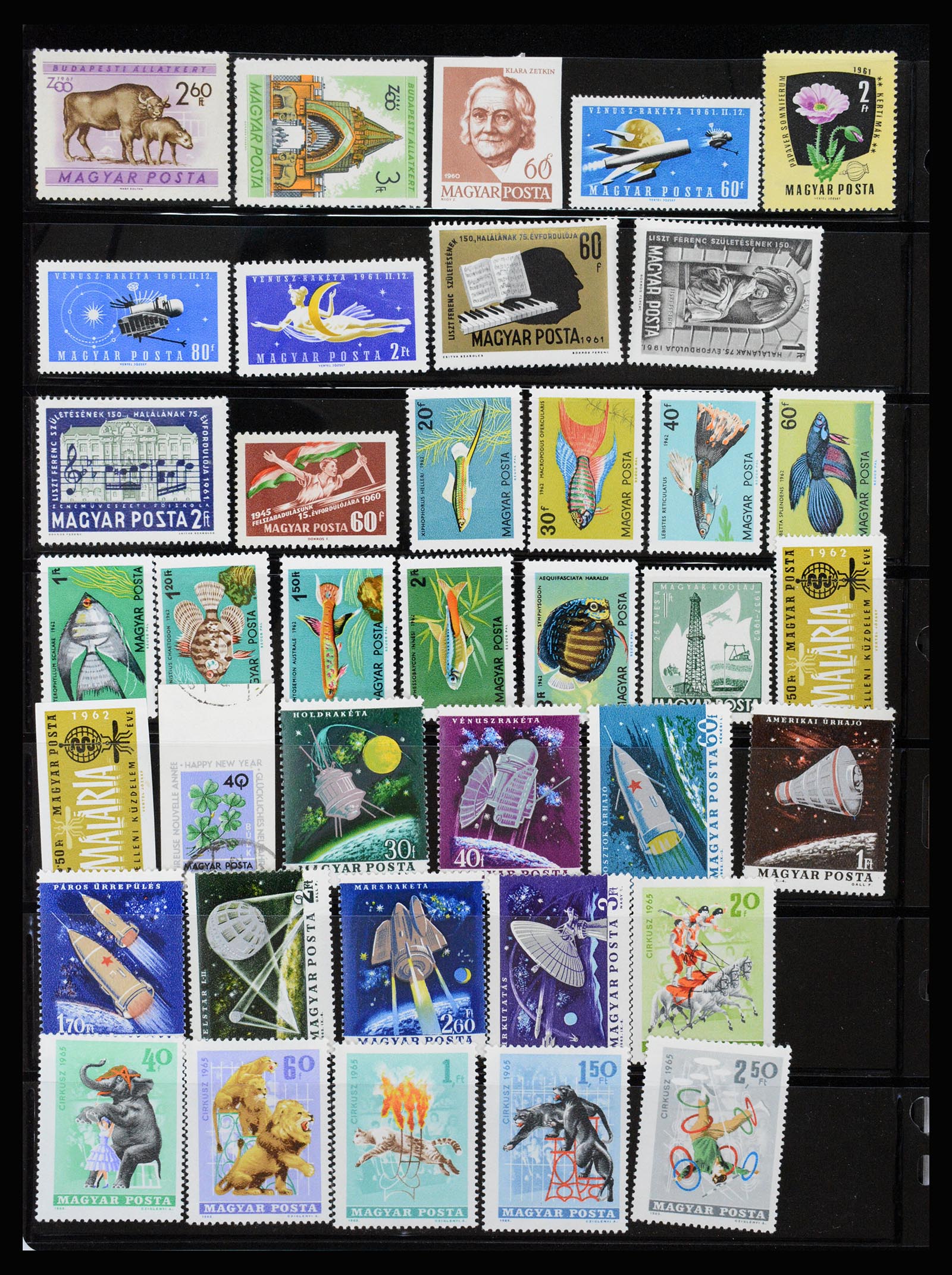 37226 241 - Postzegelverzameling 37226 Hongarije en gebieden 1871-1980.