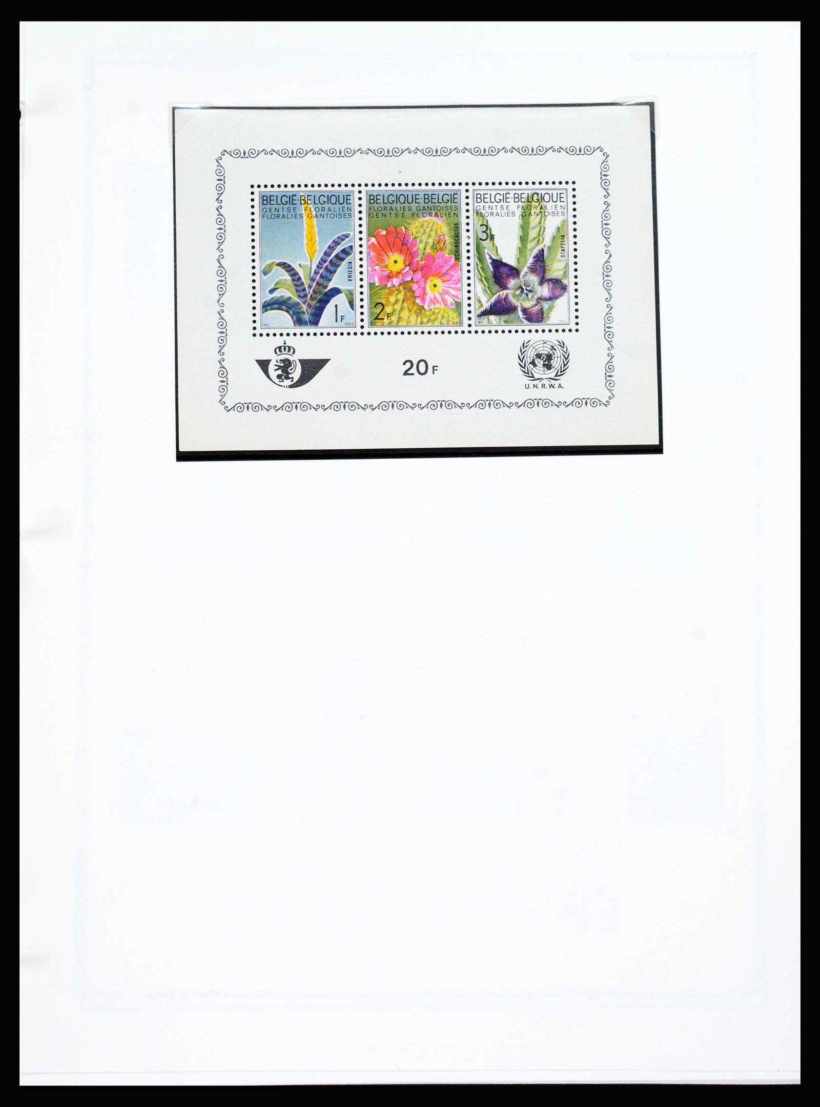 37240 060 - Stamp collection 37240 Belgium 1849-1996.