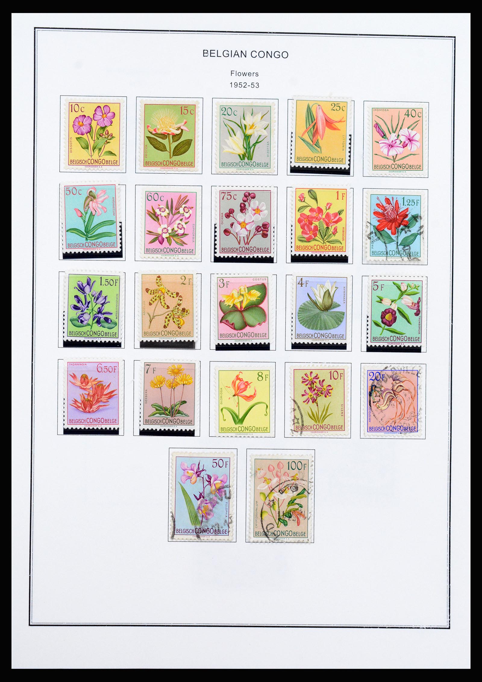 37241 022 - Postzegelverzameling 37241 Belgisch Congo en Rwanda 1886-1984.