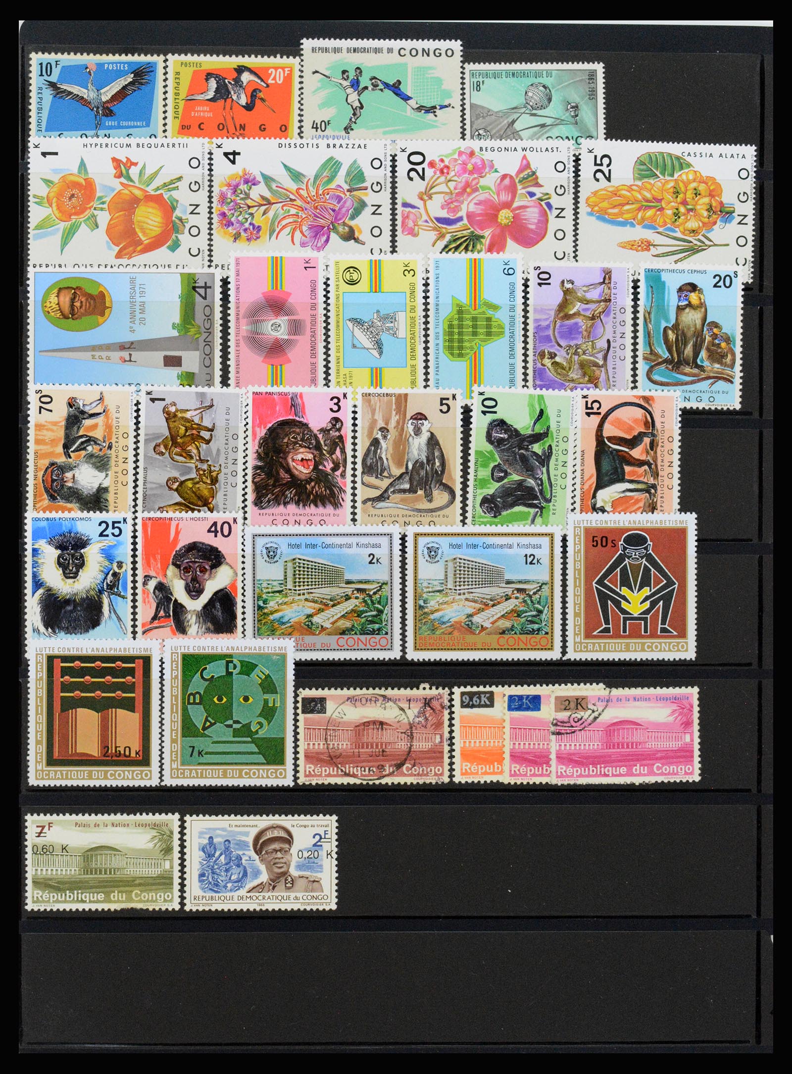 37241 039 - Postzegelverzameling 37241 Belgisch Congo en Rwanda 1886-1984.