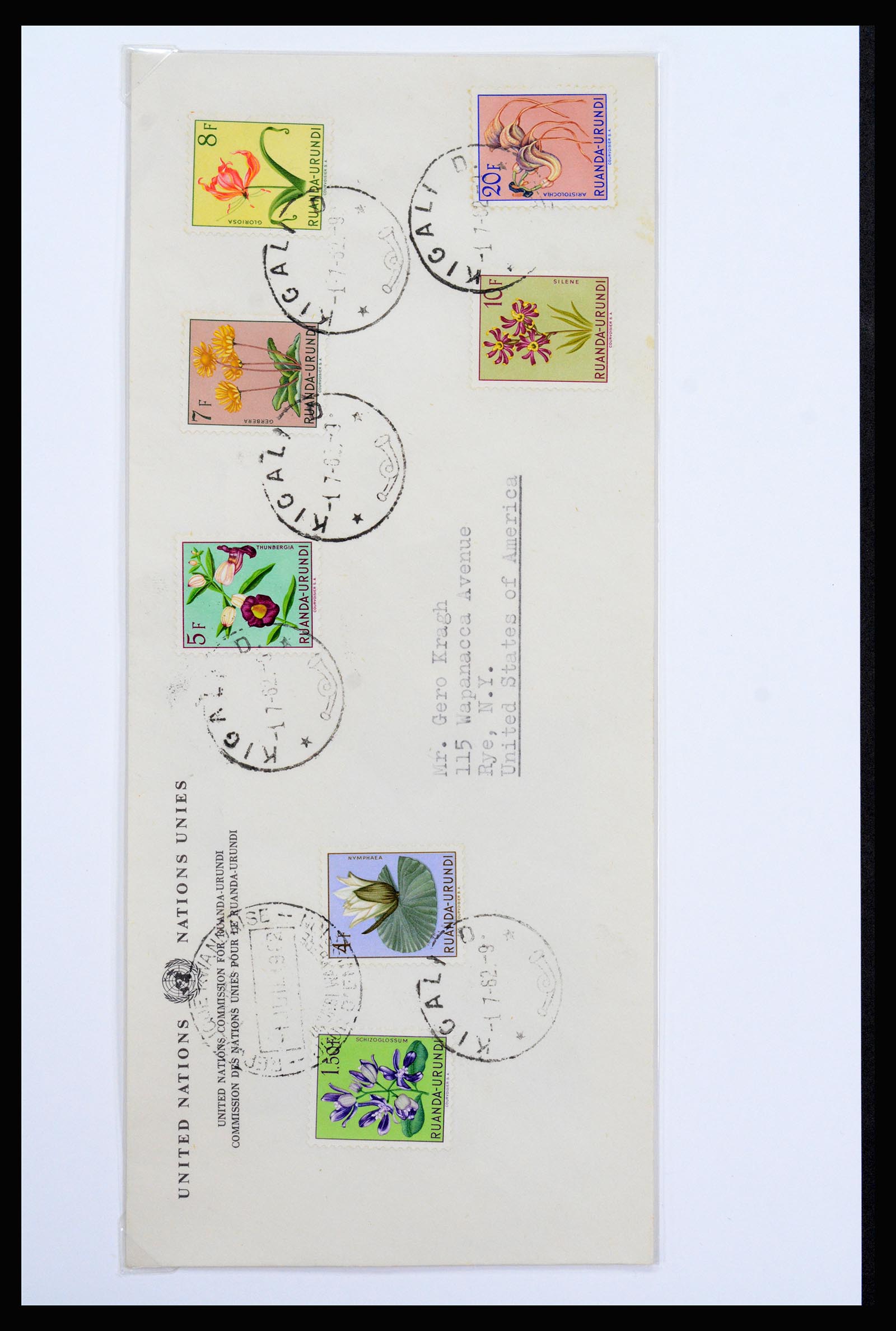 37241 045 - Postzegelverzameling 37241 Belgisch Congo en Rwanda 1886-1984.