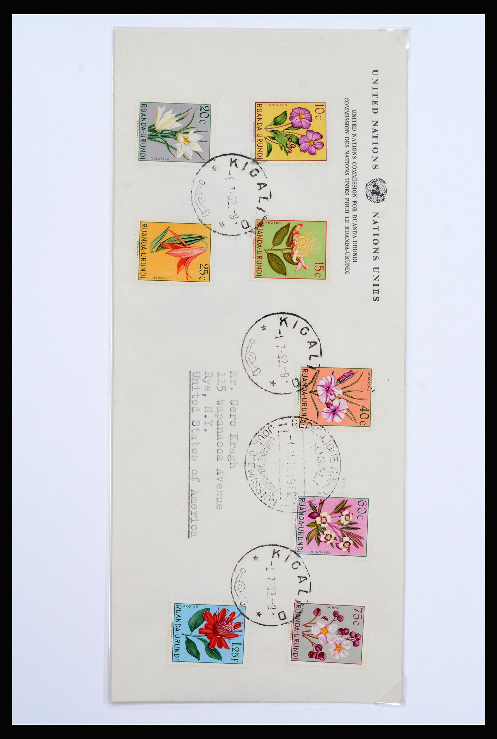 37241 046 - Postzegelverzameling 37241 Belgisch Congo en Rwanda 1886-1984.