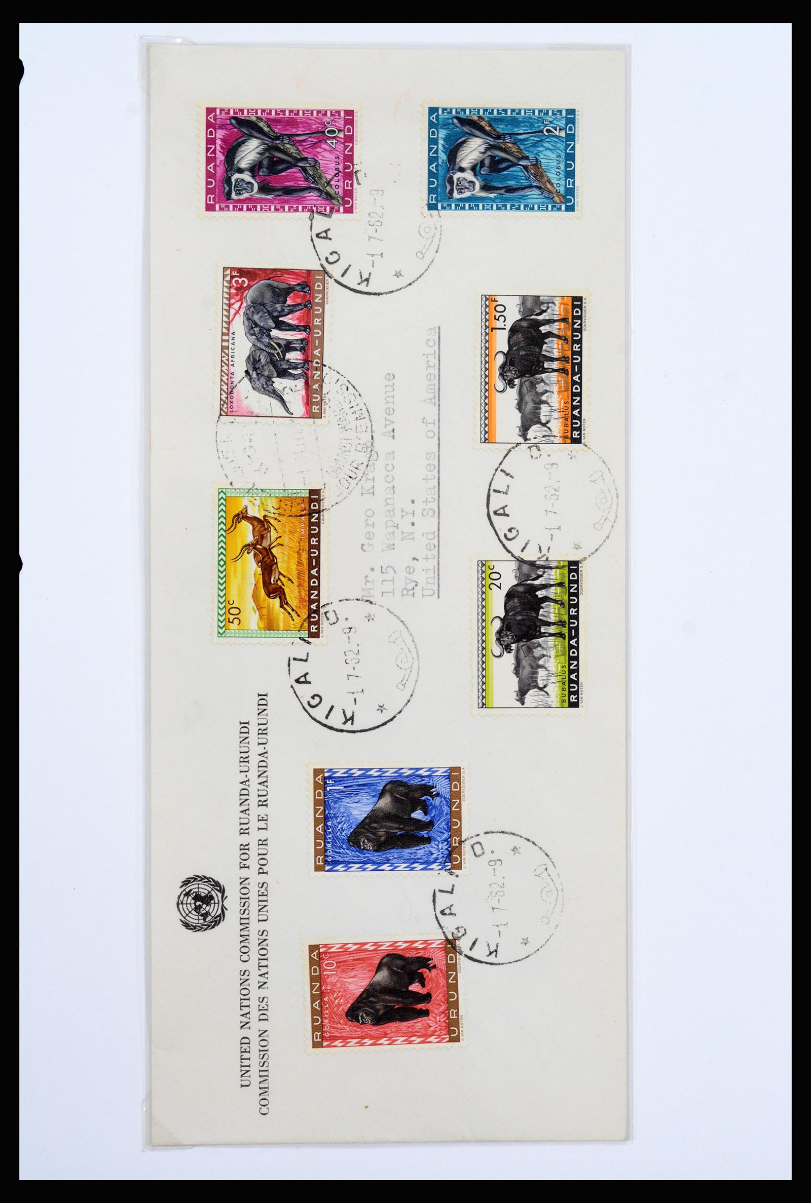 37241 049 - Postzegelverzameling 37241 Belgisch Congo en Rwanda 1886-1984.