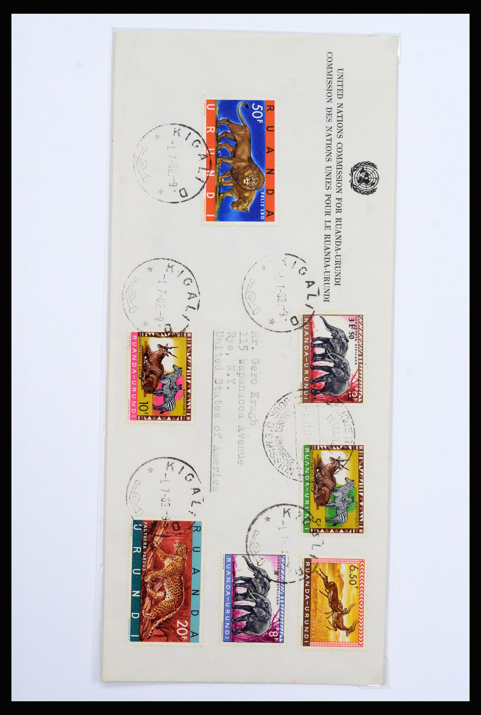 37241 050 - Postzegelverzameling 37241 Belgisch Congo en Rwanda 1886-1984.
