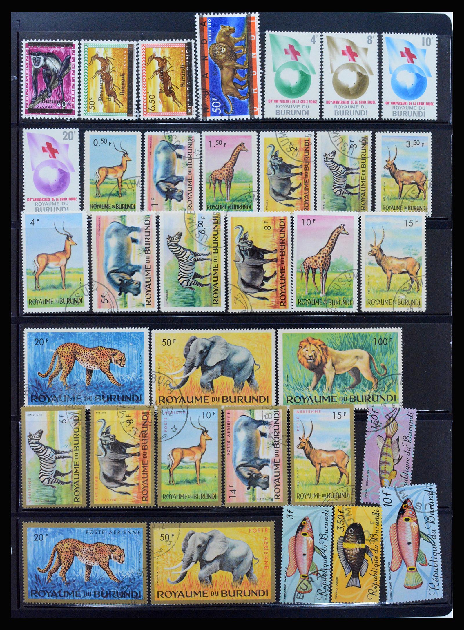 37241 067 - Stamp collection 37241 Belgian Congo and Rwanda 1886-1984.