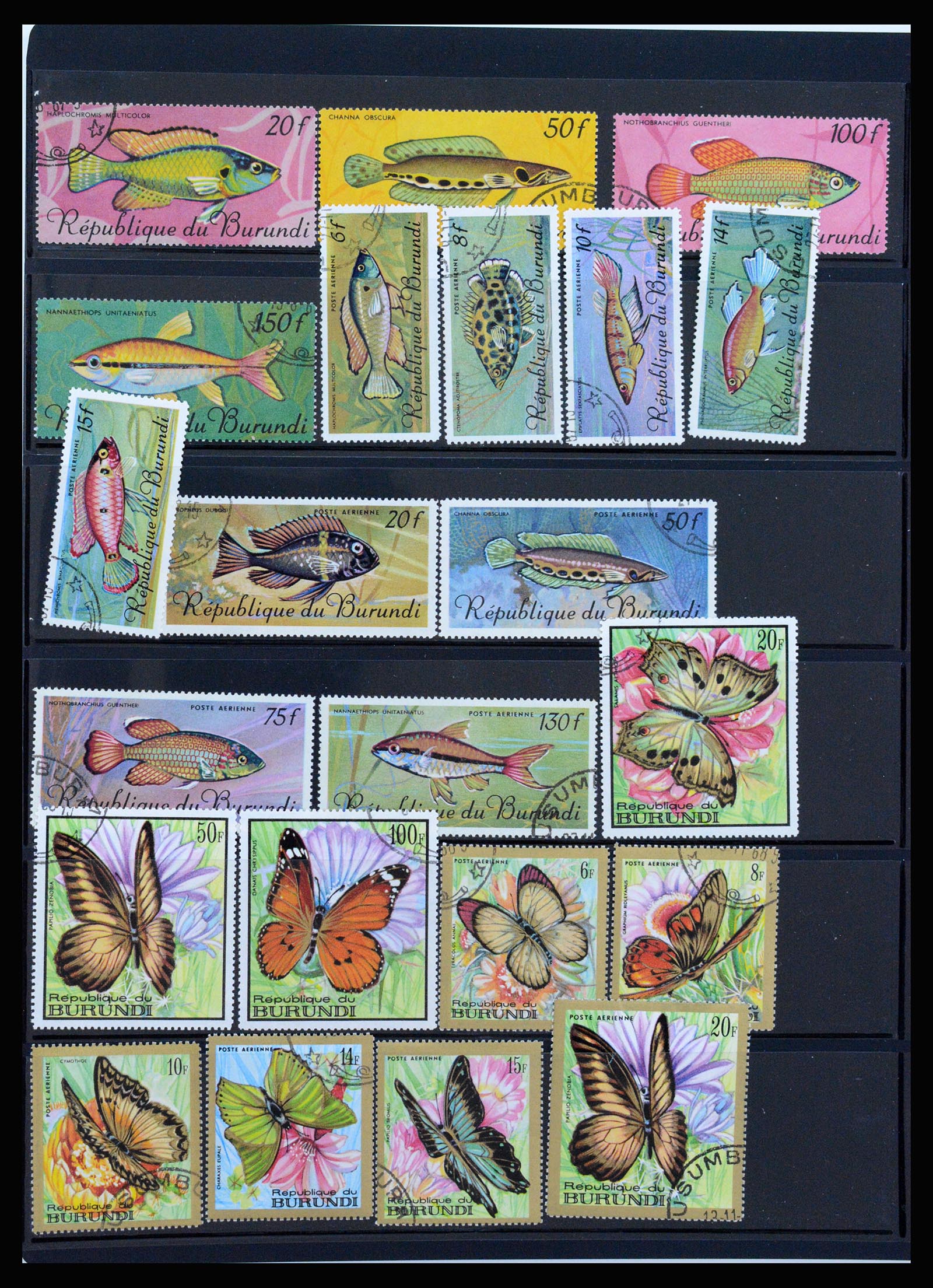 37241 068 - Stamp collection 37241 Belgian Congo and Rwanda 1886-1984.