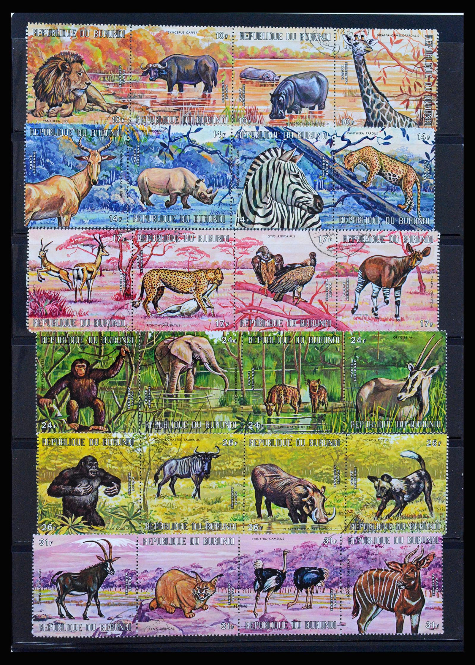 37241 070 - Stamp collection 37241 Belgian Congo and Rwanda 1886-1984.