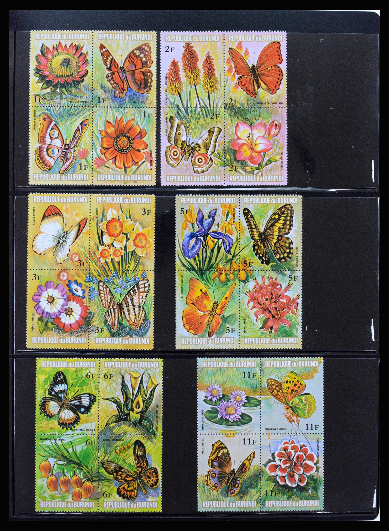 37241 074 - Stamp collection 37241 Belgian Congo and Rwanda 1886-1984.