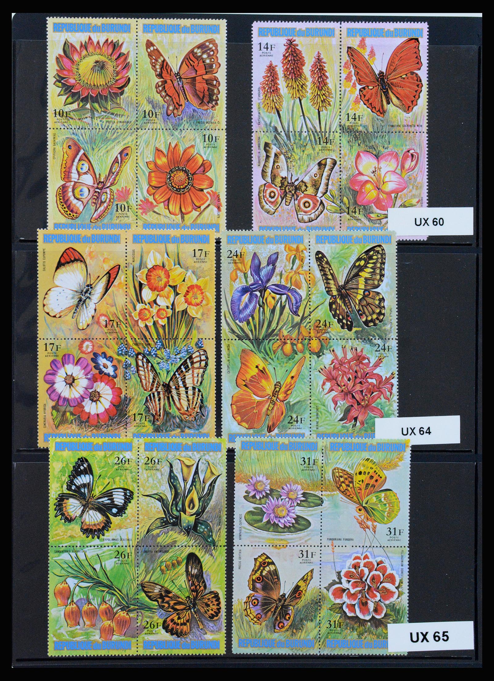 37241 075 - Stamp collection 37241 Belgian Congo and Rwanda 1886-1984.