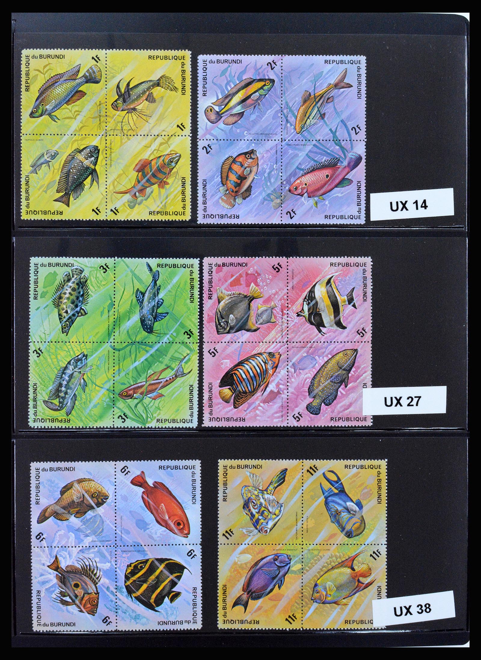 37241 076 - Stamp collection 37241 Belgian Congo and Rwanda 1886-1984.