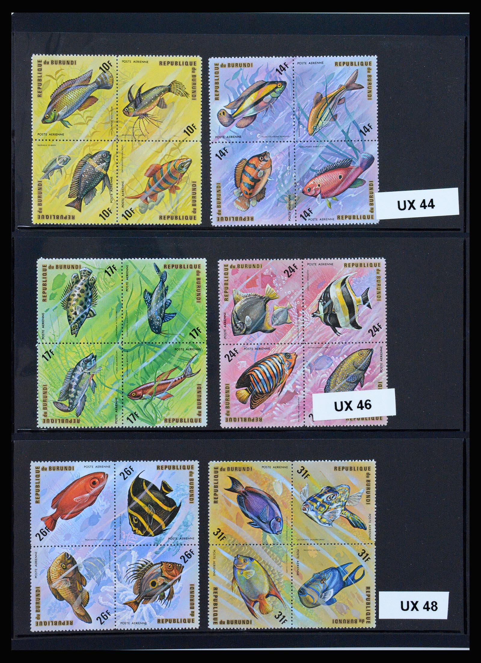 37241 077 - Stamp collection 37241 Belgian Congo and Rwanda 1886-1984.