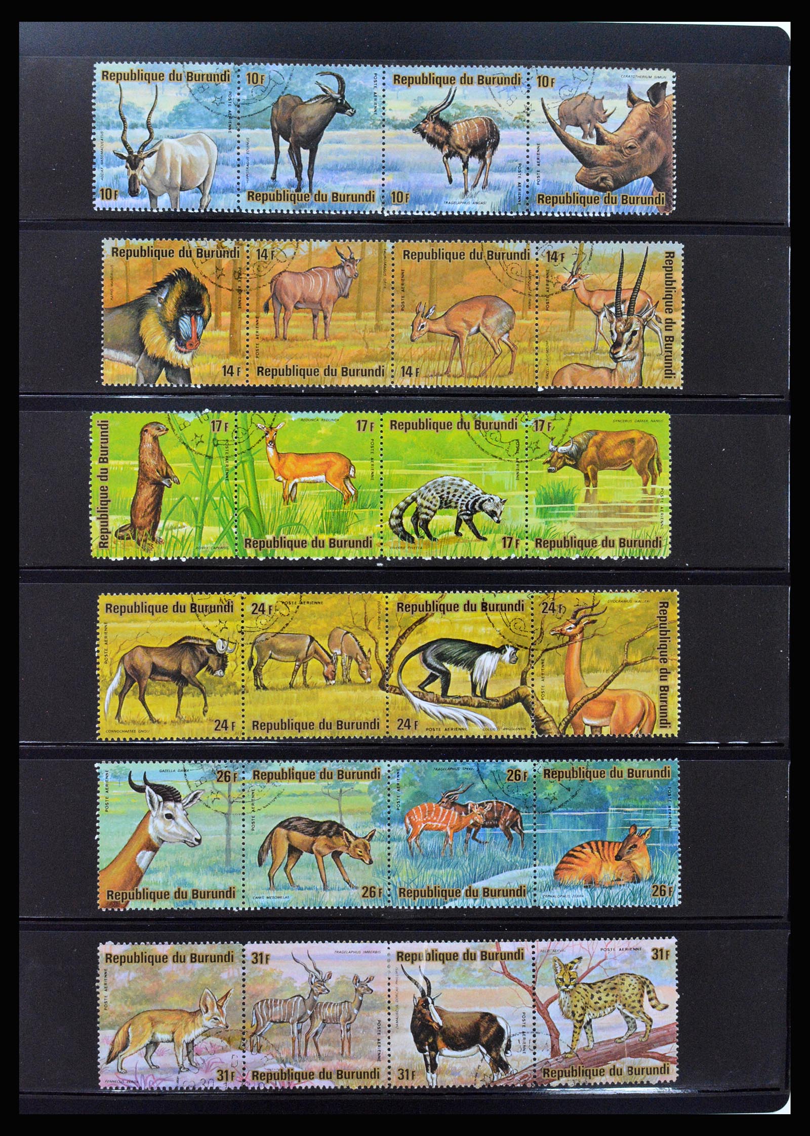 37241 080 - Stamp collection 37241 Belgian Congo and Rwanda 1886-1984.