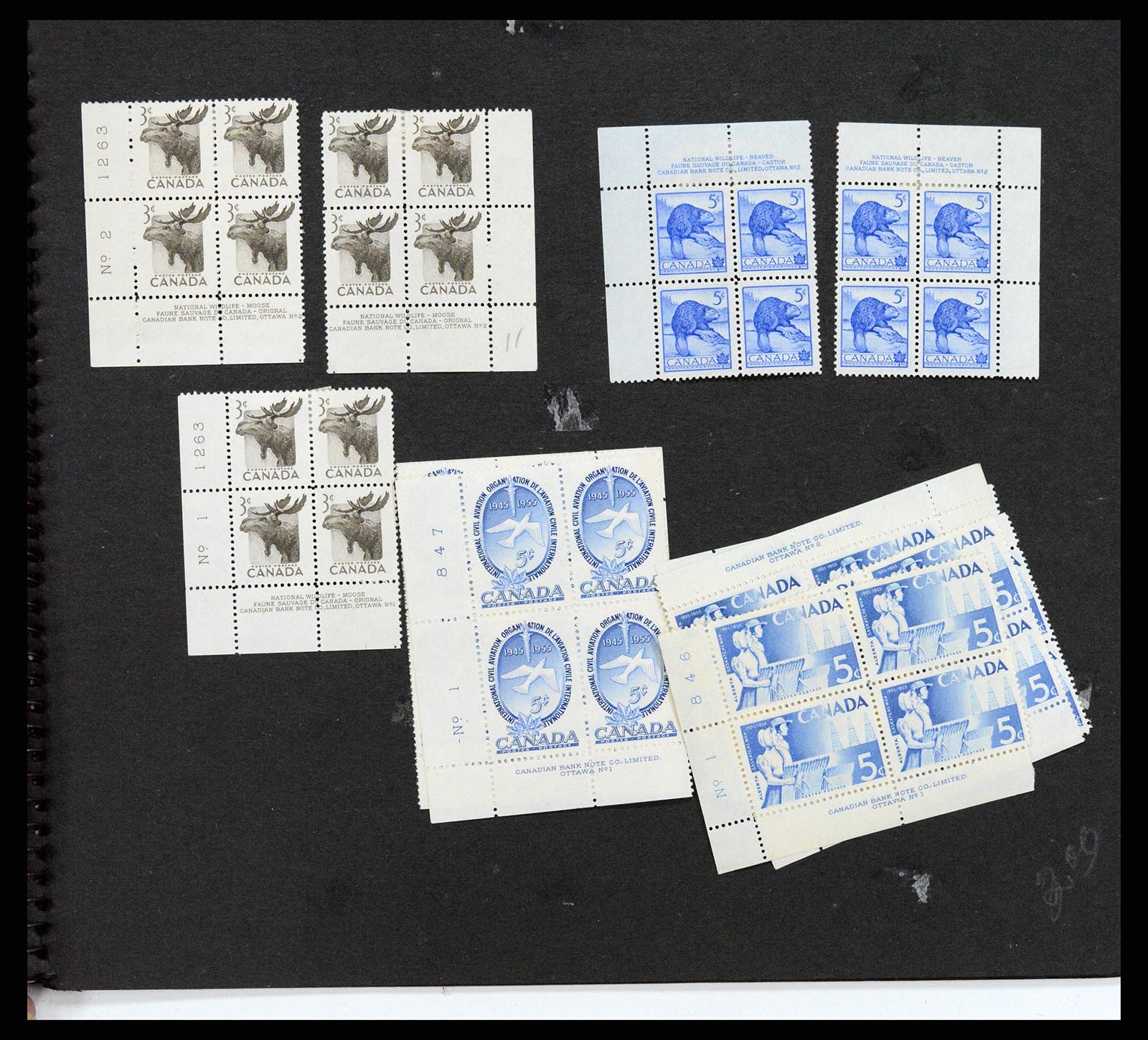 37243 063 - Postzegelverzameling 37243 Canada 1868-1955.