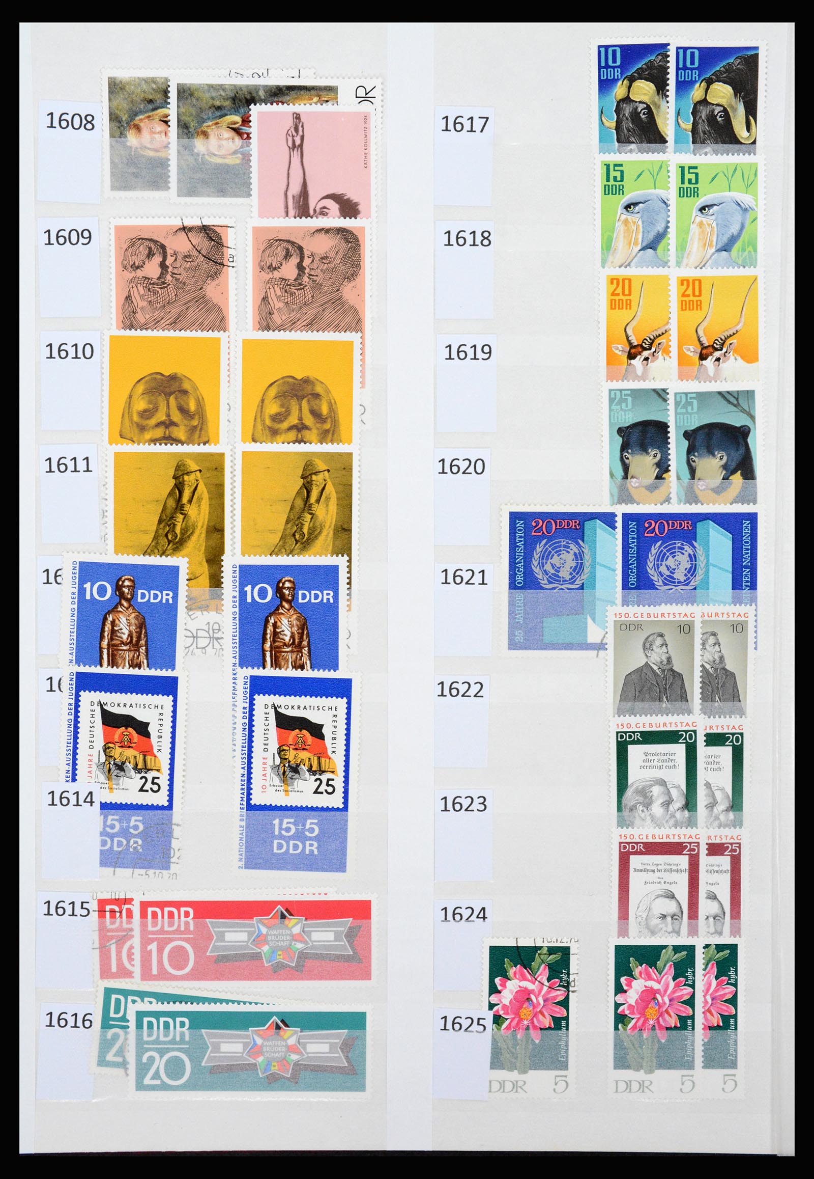 37253 079 - Postzegelverzameling 37253 DDR 1949-1990.
