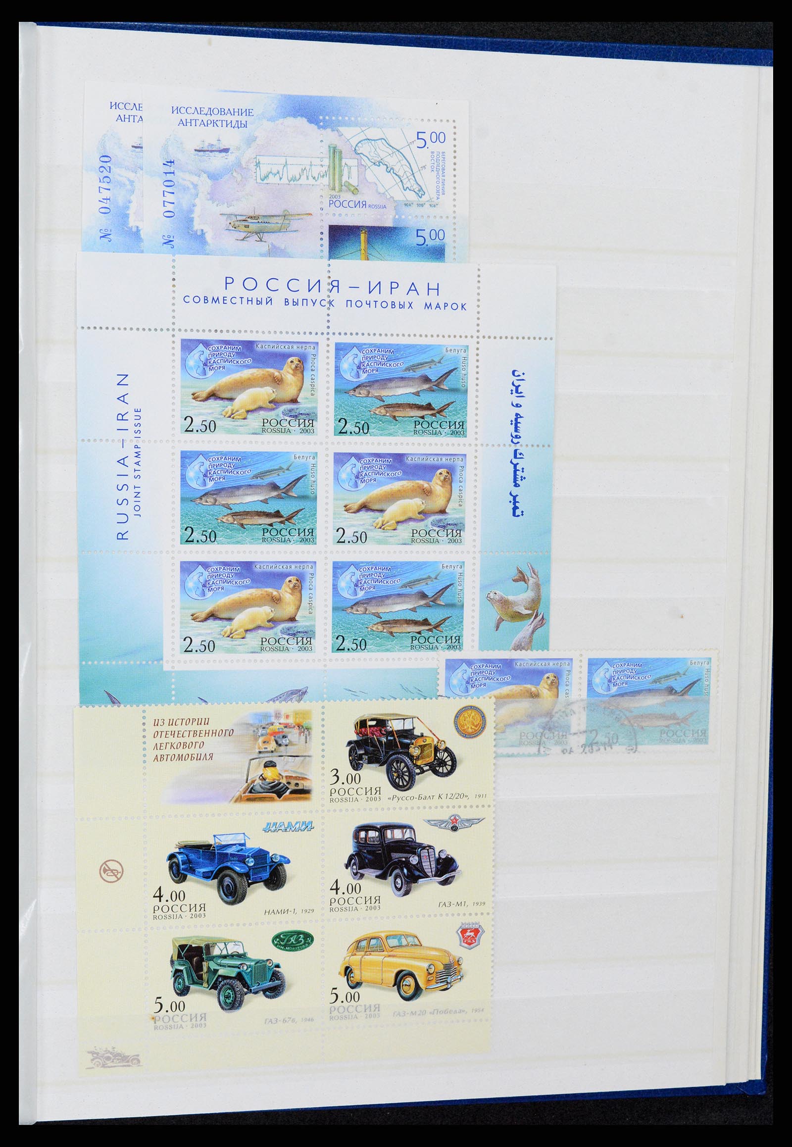 37283 032 - Stamp collection 37283 Russia 1999-2021!