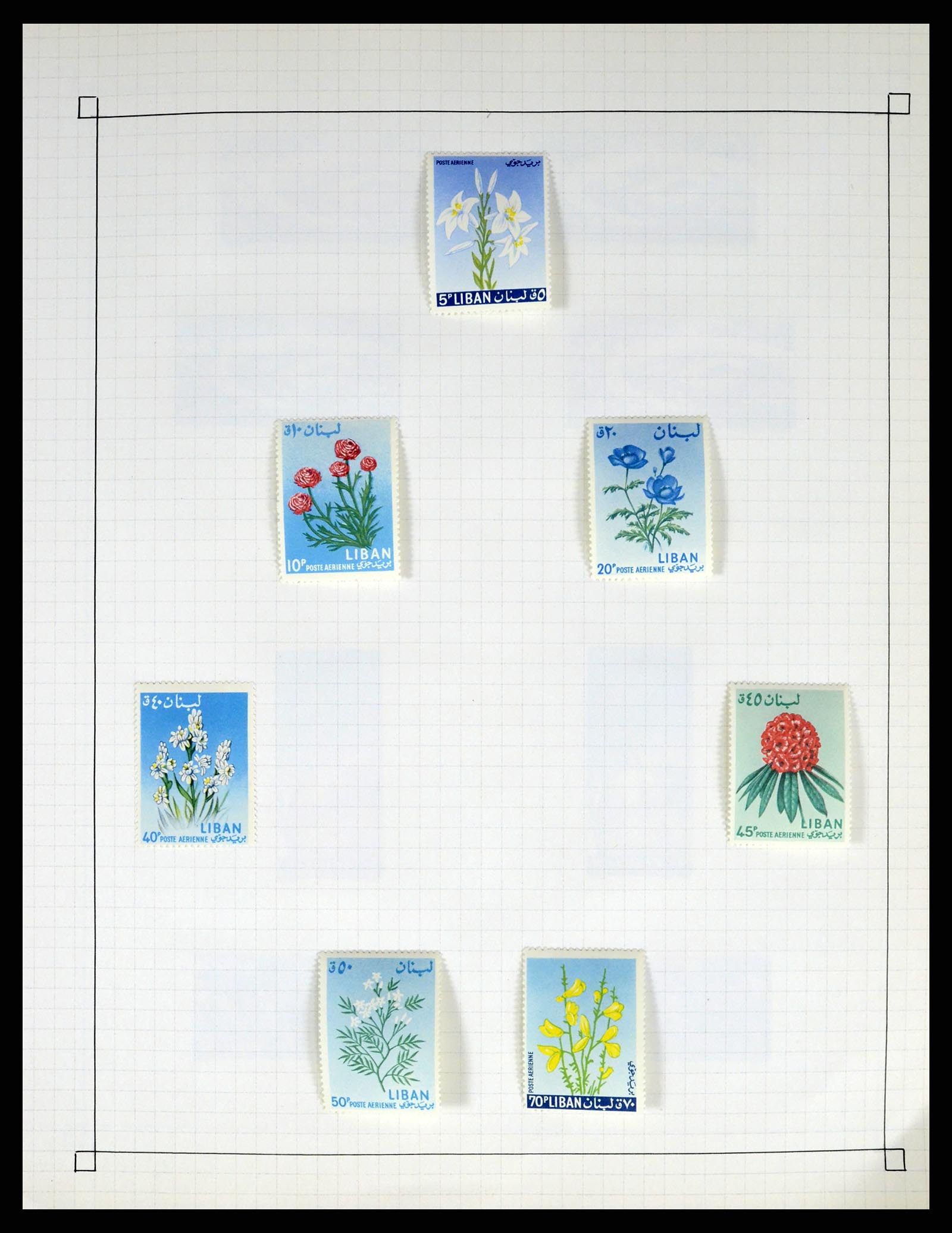 37286 098 - Postzegelverzameling 37286 Buiten Europa 1845-1980.