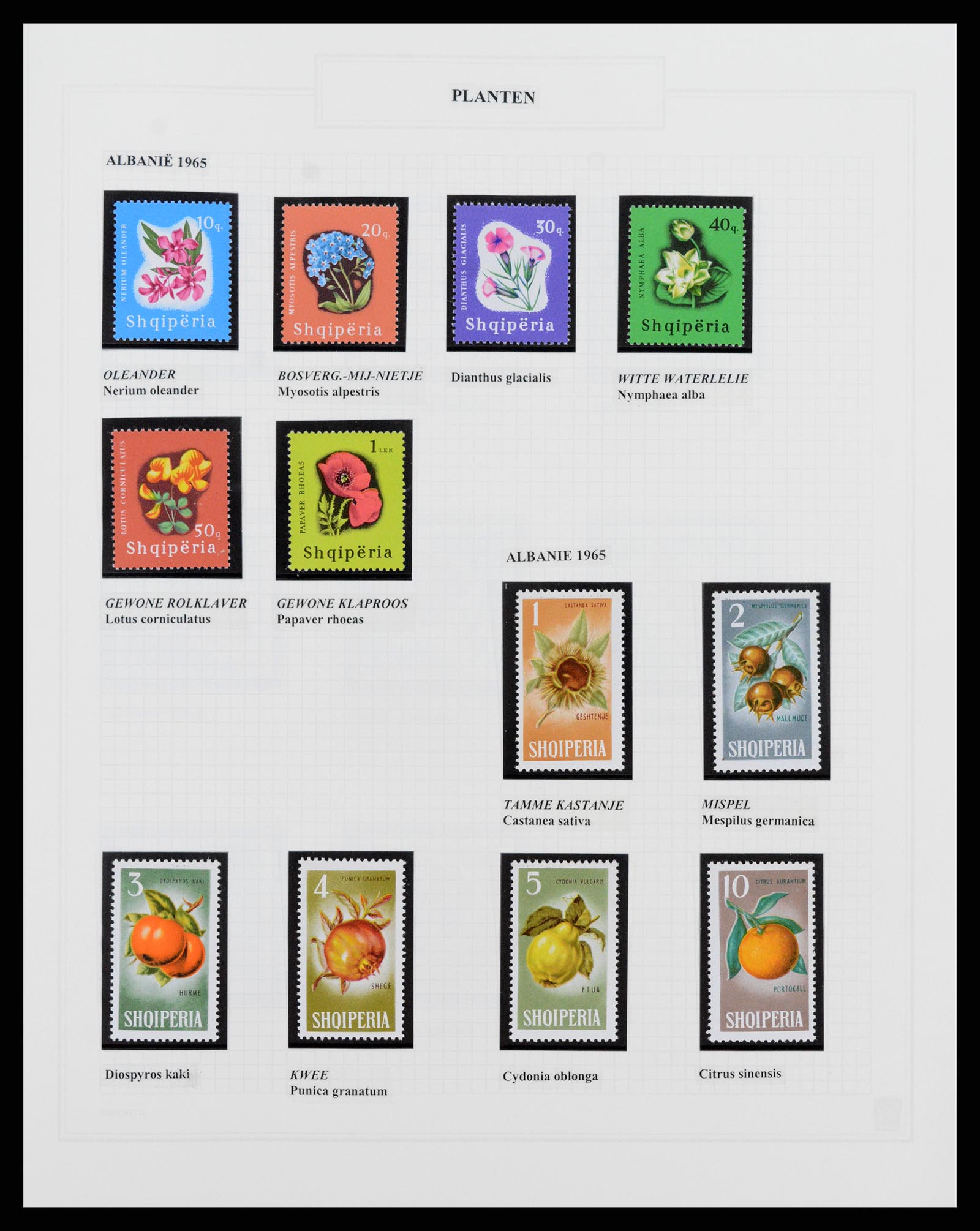37298 002 - Postzegelverzameling 37298 Motief flora 1953-2000.