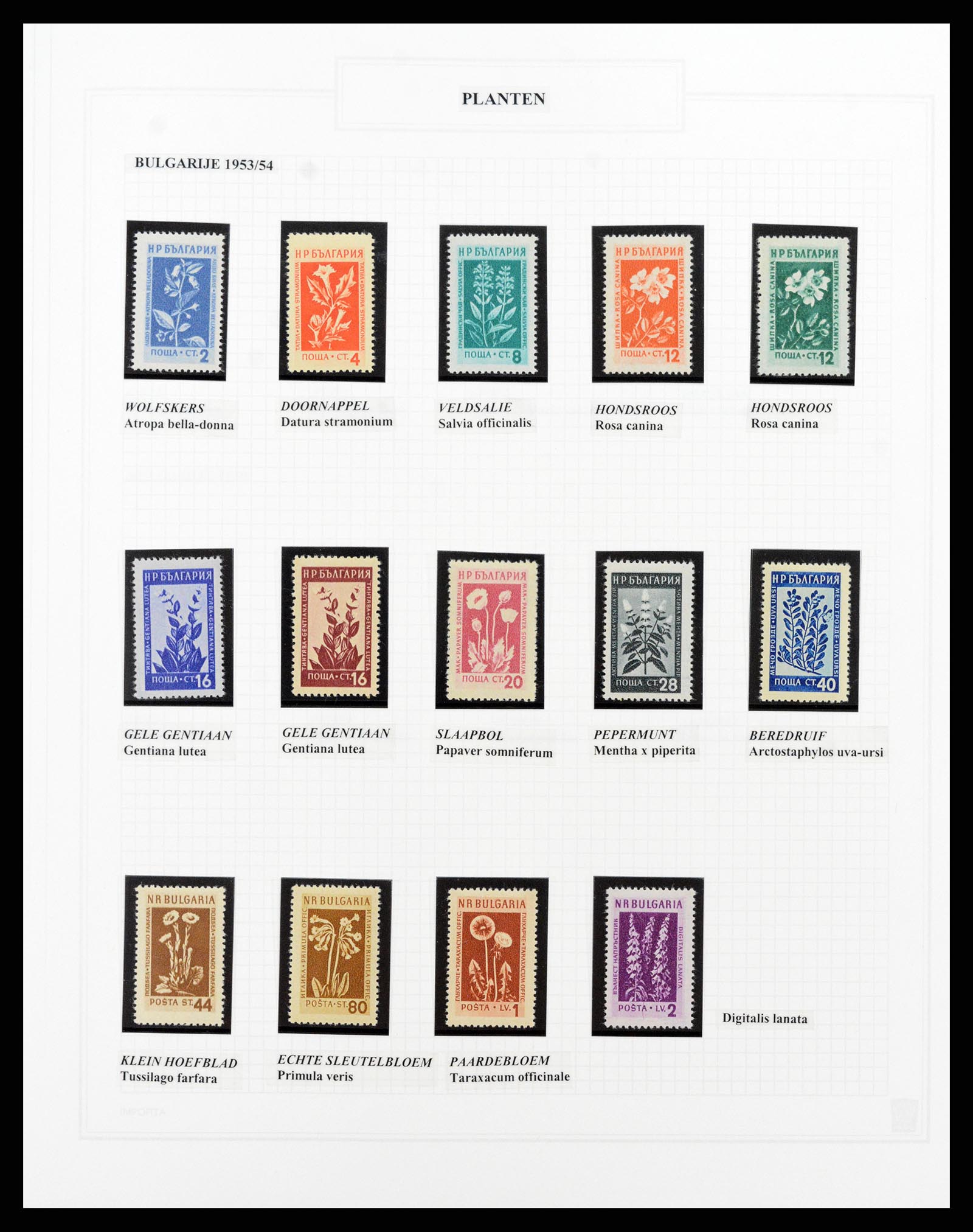 37298 020 - Postzegelverzameling 37298 Motief flora 1953-2000.