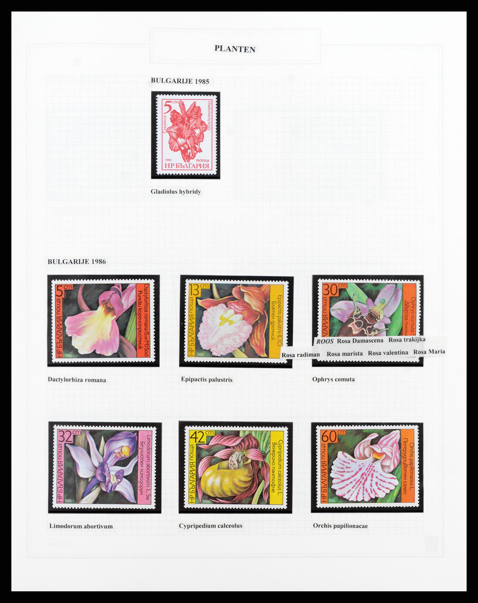 37298 030 - Postzegelverzameling 37298 Motief flora 1953-2000.
