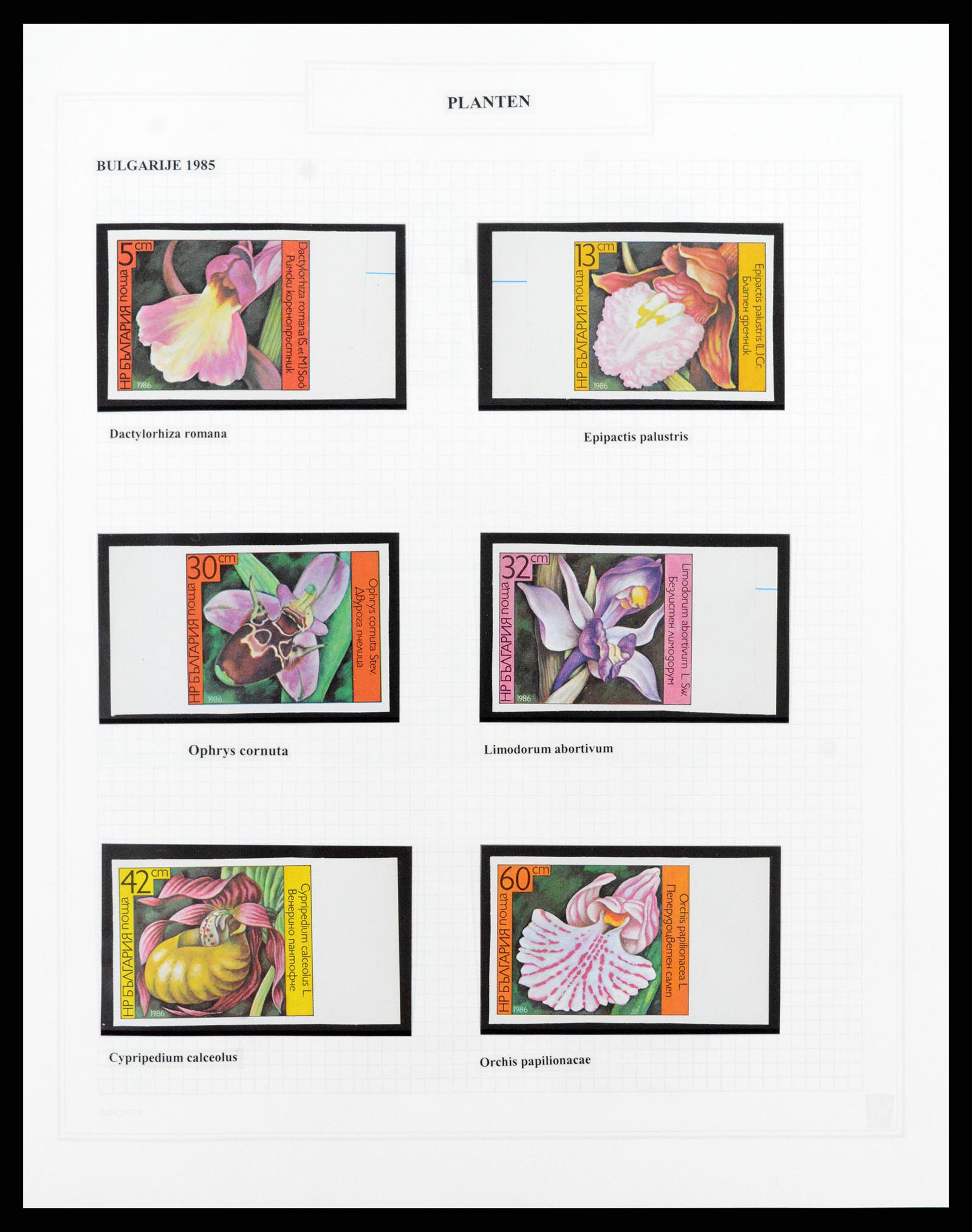 37298 031 - Postzegelverzameling 37298 Motief flora 1953-2000.