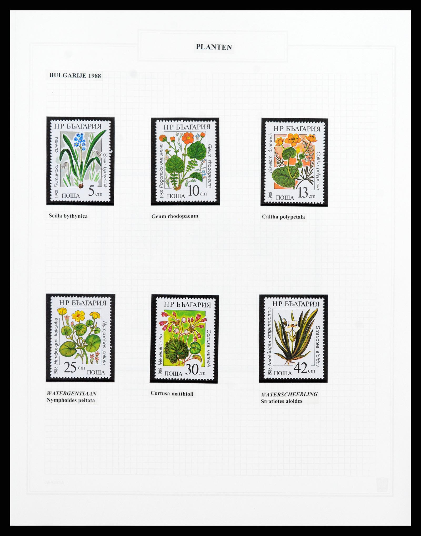 37298 034 - Postzegelverzameling 37298 Motief flora 1953-2000.