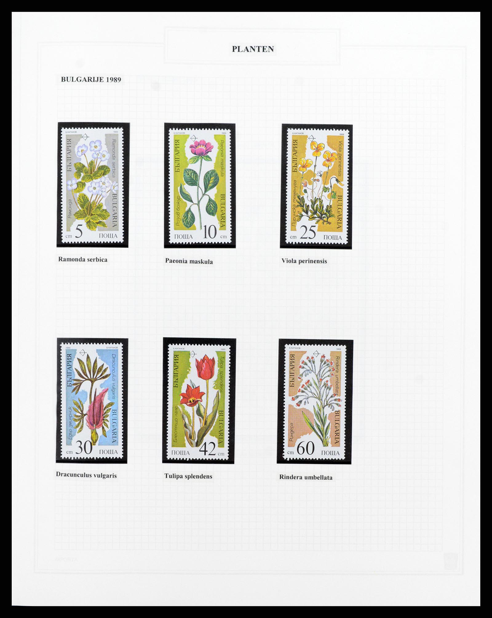 37298 036 - Postzegelverzameling 37298 Motief flora 1953-2000.