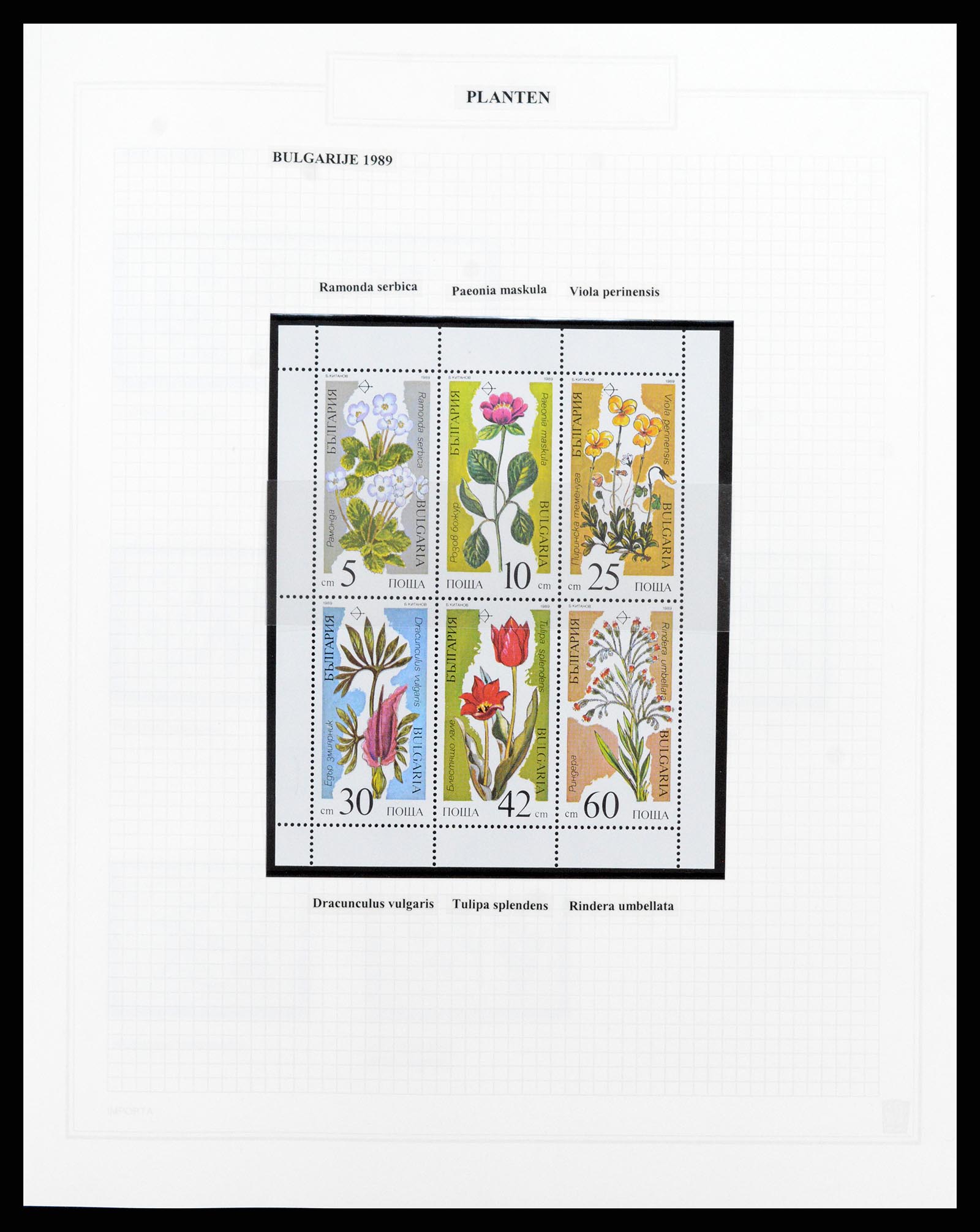 37298 037 - Postzegelverzameling 37298 Motief flora 1953-2000.