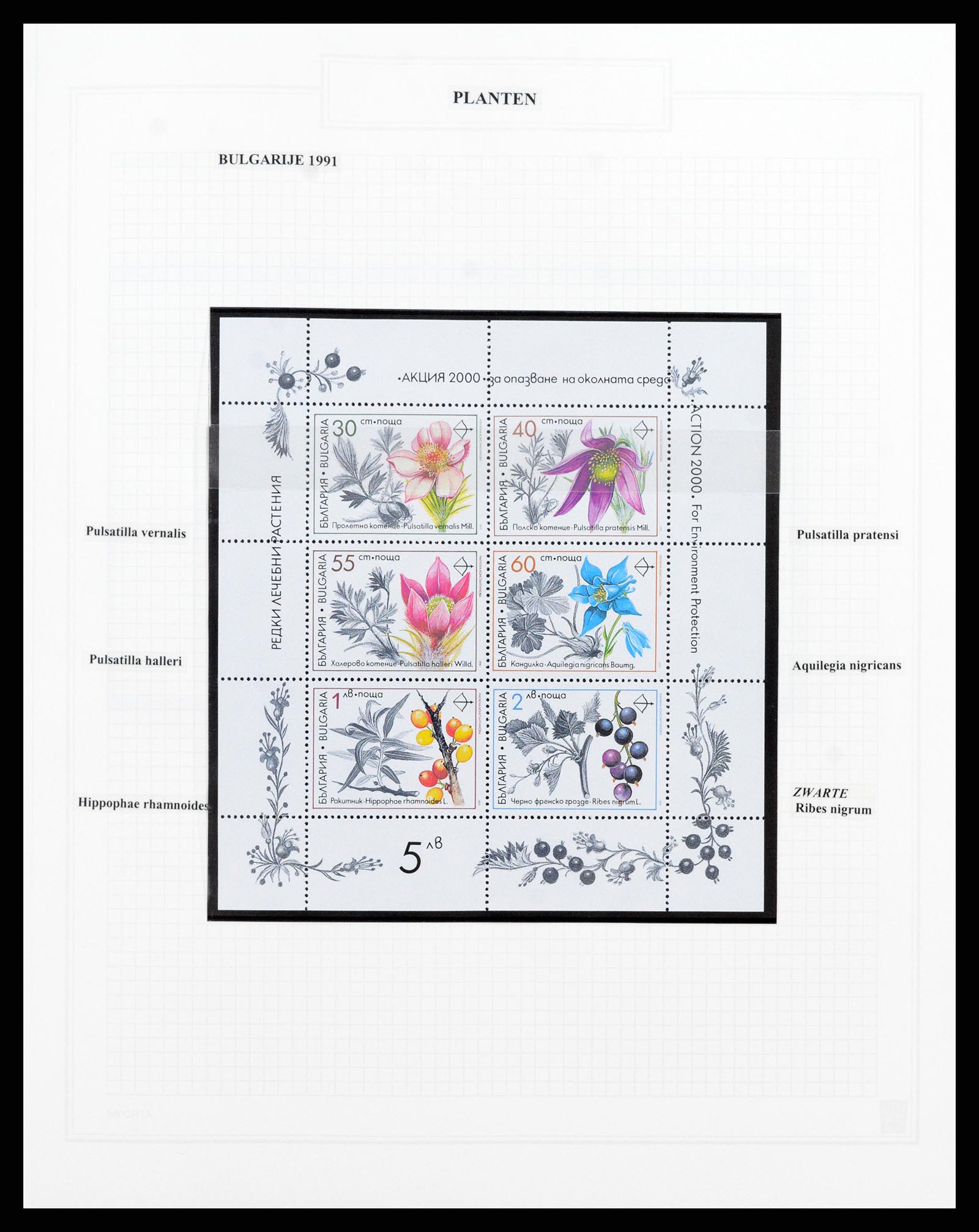 37298 039 - Postzegelverzameling 37298 Motief flora 1953-2000.