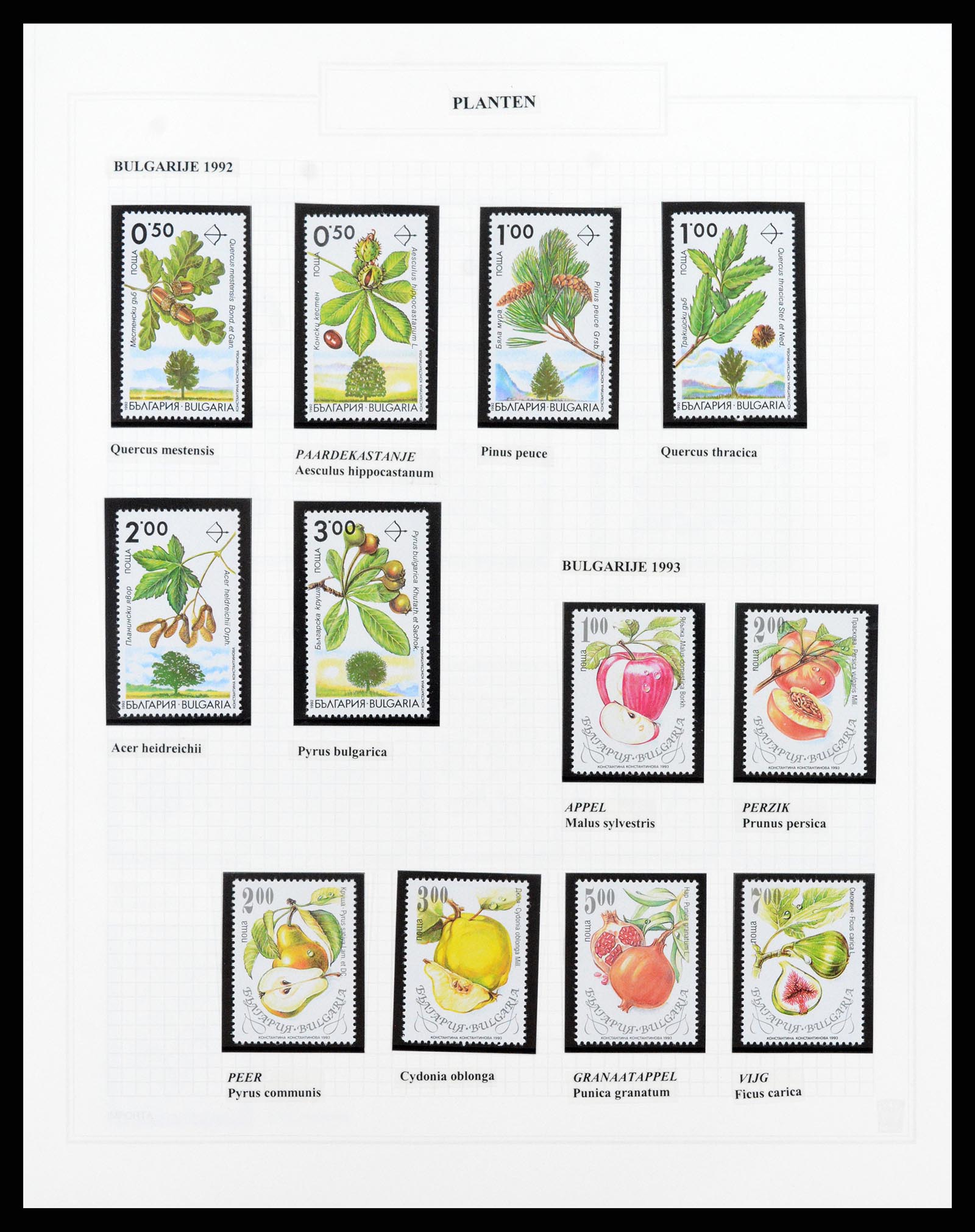 37298 041 - Postzegelverzameling 37298 Motief flora 1953-2000.