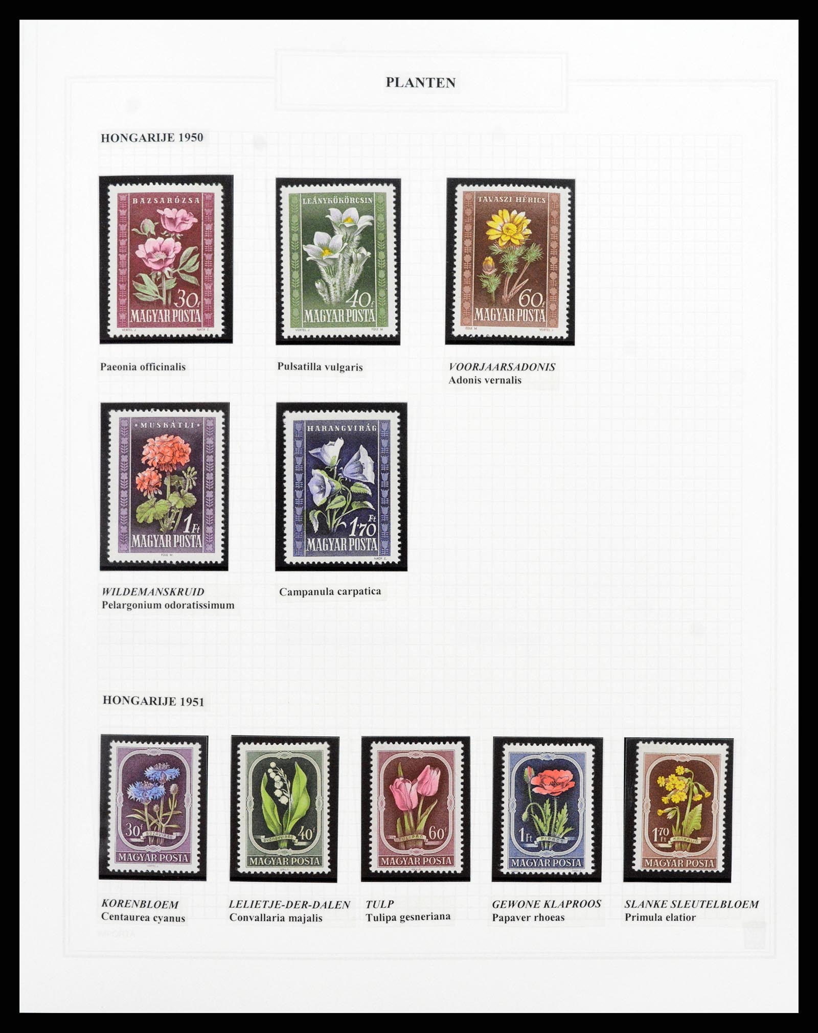37298 072 - Postzegelverzameling 37298 Motief flora 1953-2000.