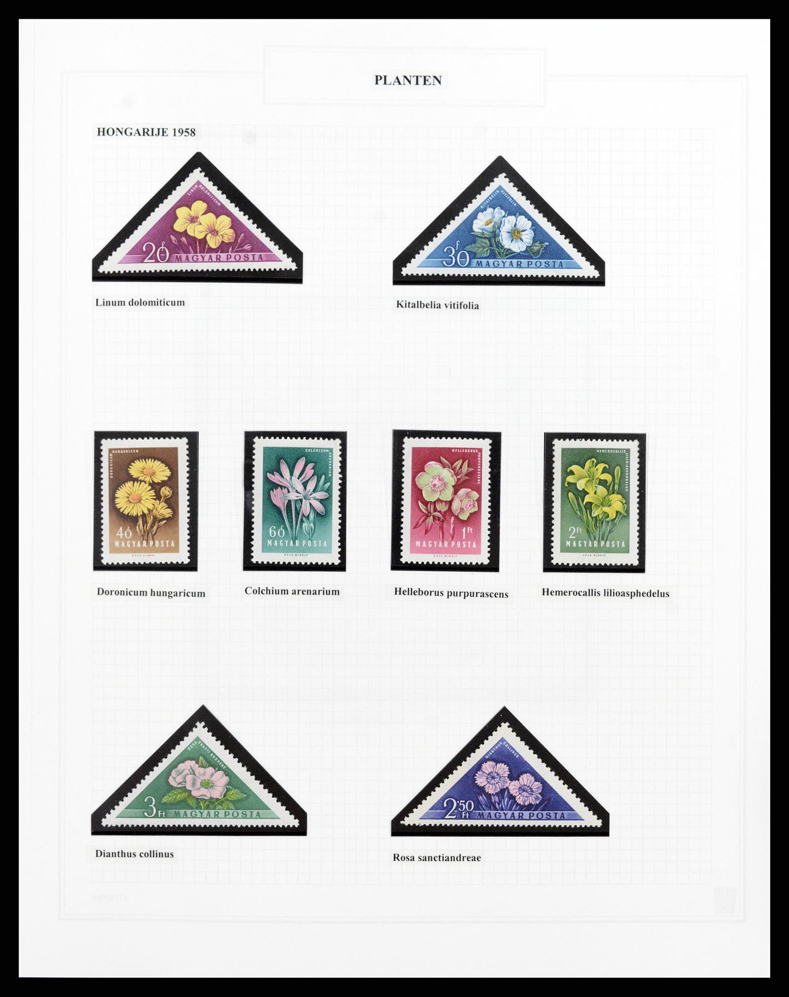 37298 073 - Postzegelverzameling 37298 Motief flora 1953-2000.