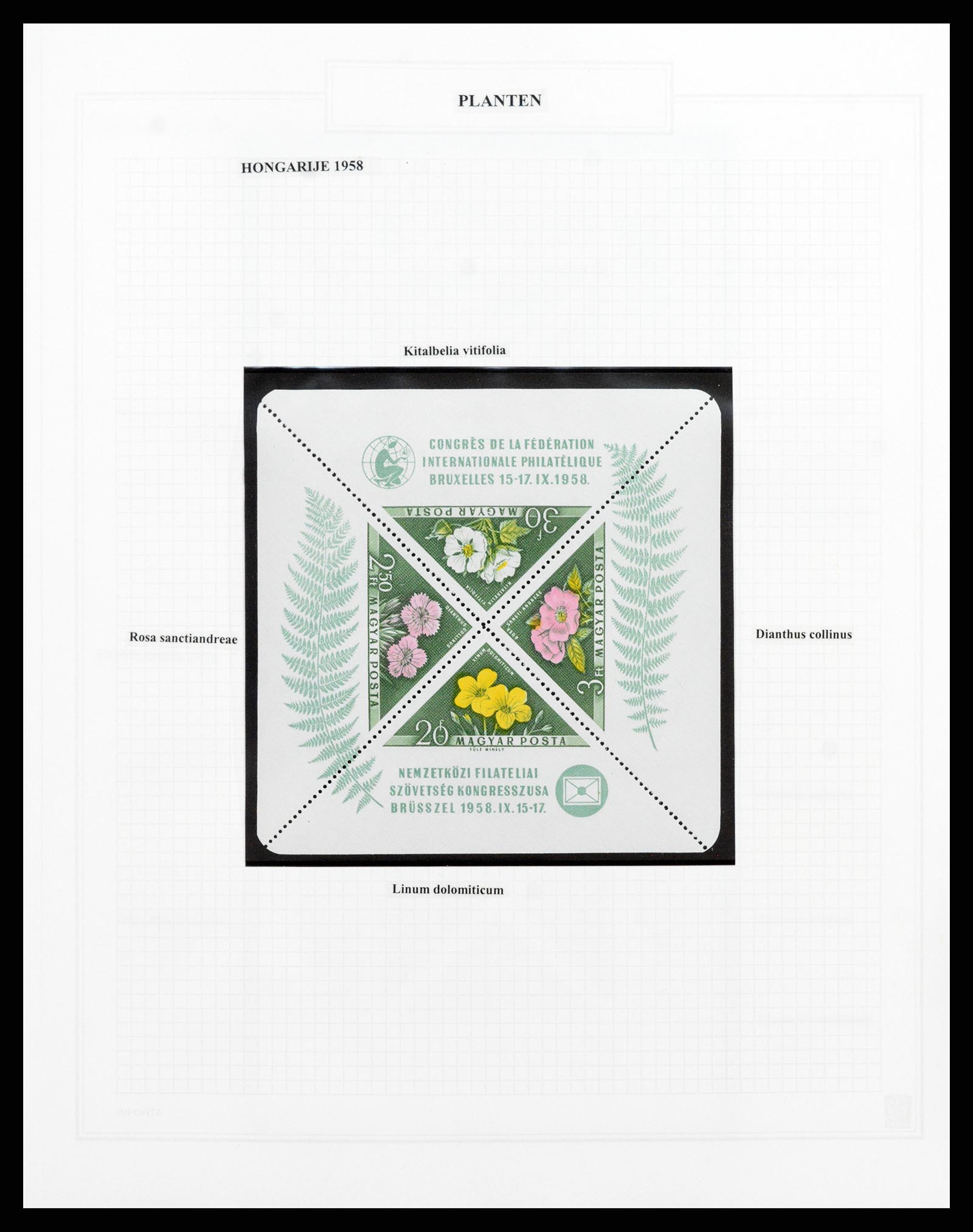 37298 074 - Postzegelverzameling 37298 Motief flora 1953-2000.