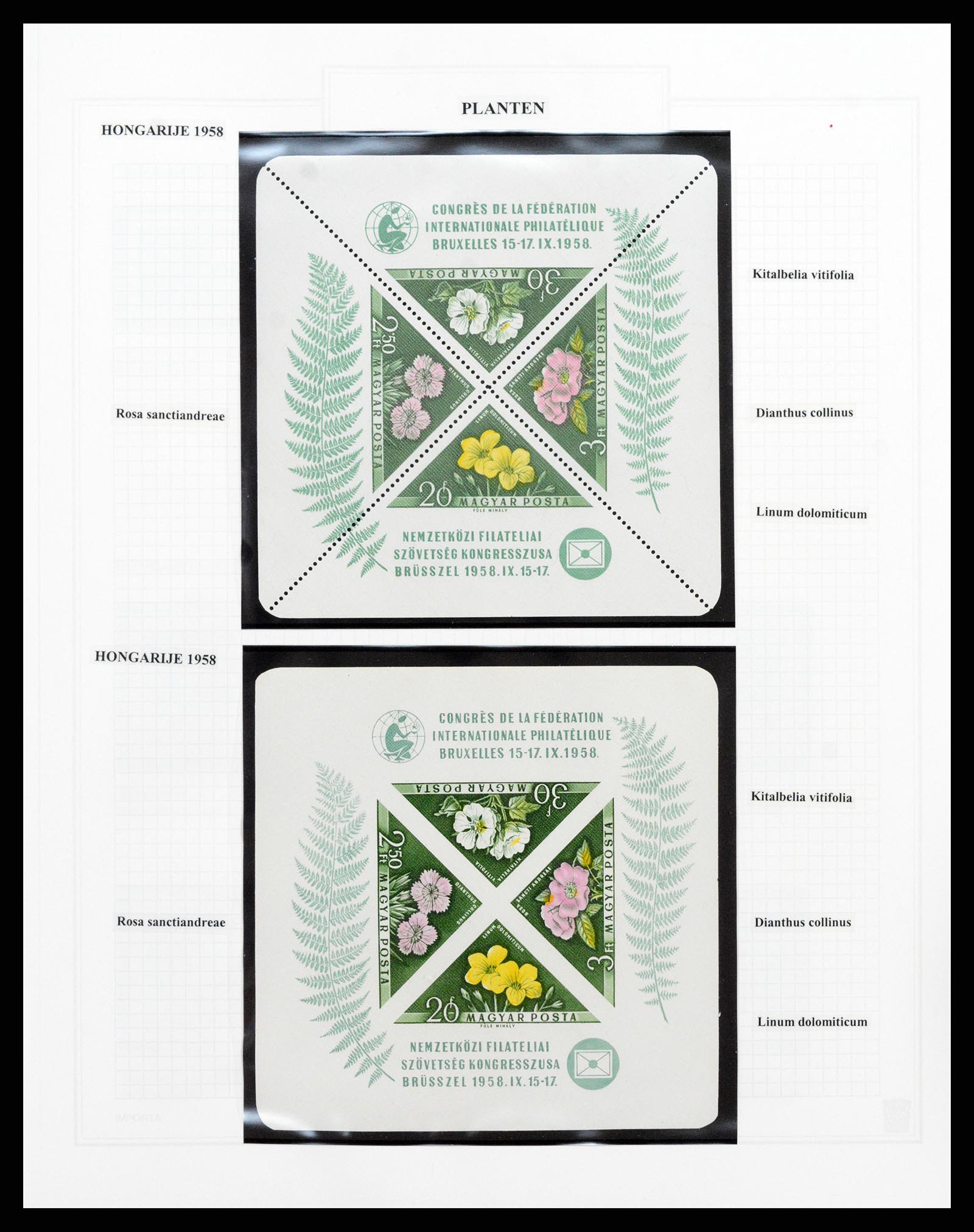 37298 075 - Postzegelverzameling 37298 Motief flora 1953-2000.