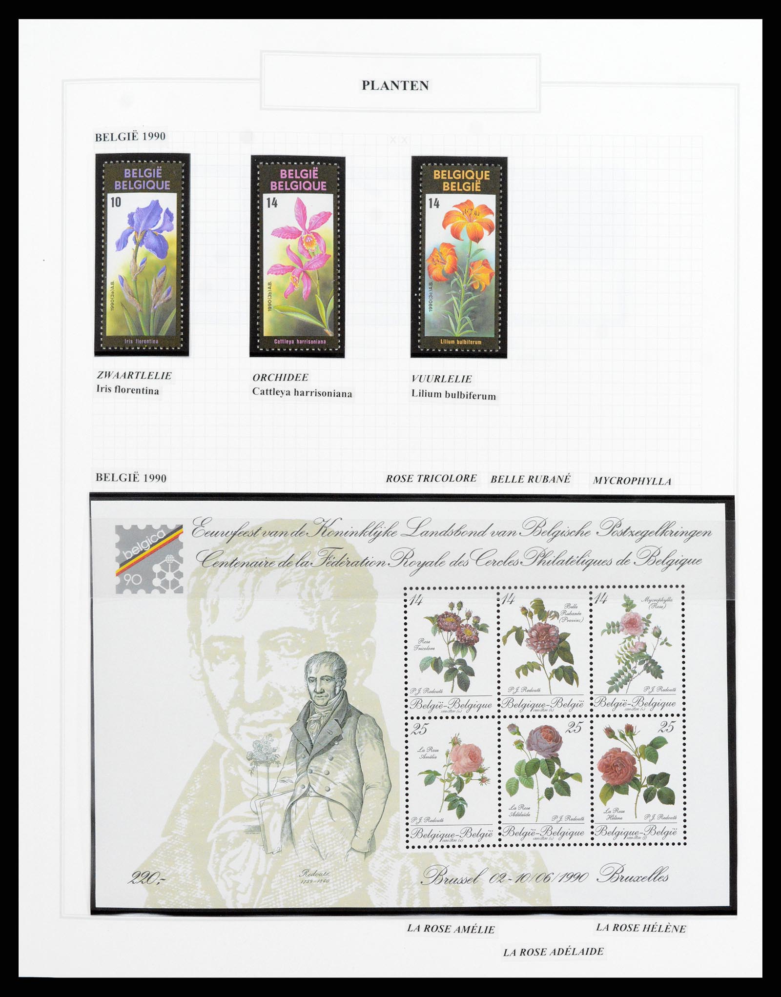 37298 331 - Postzegelverzameling 37298 Motief flora 1953-2000.