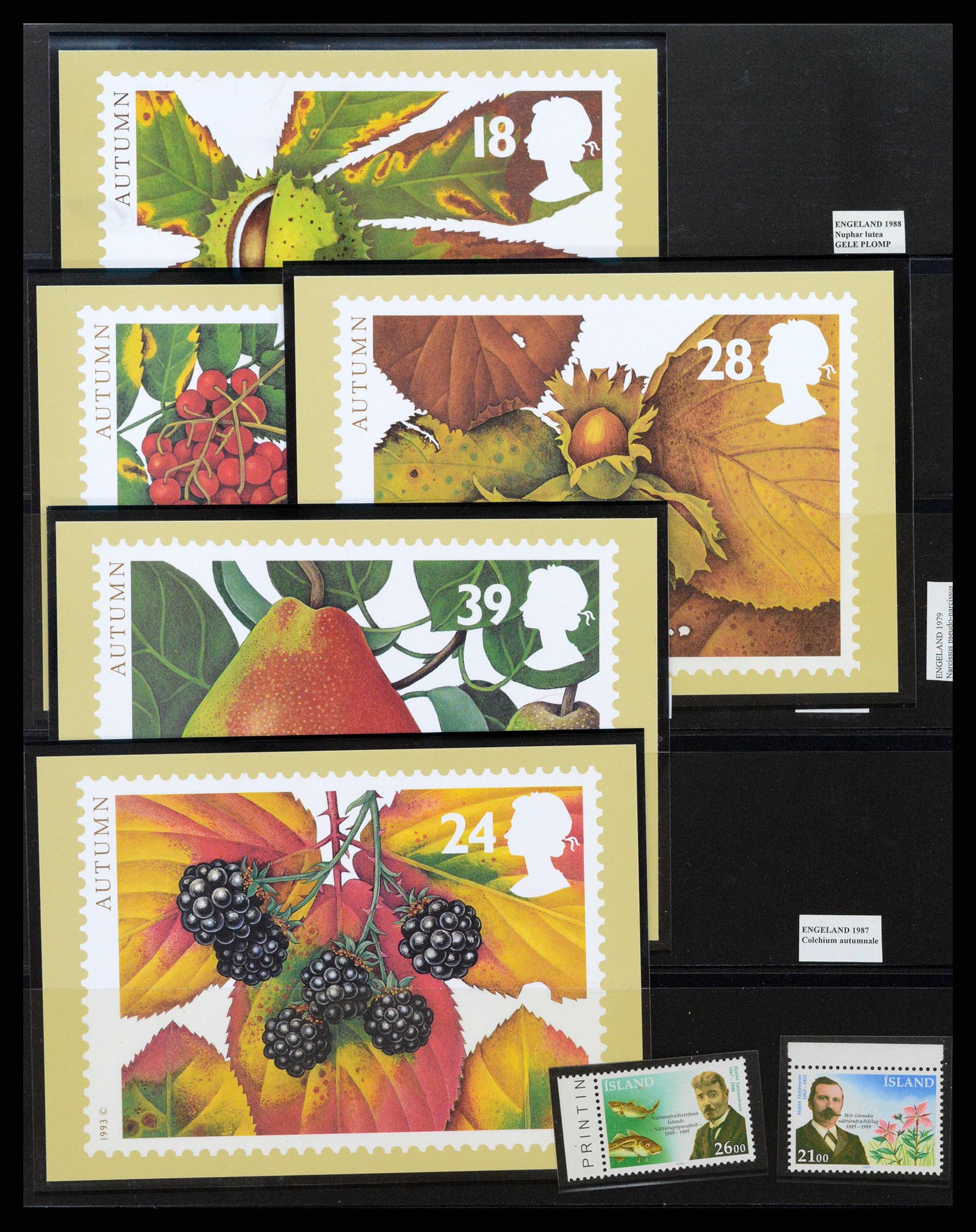 37298 341 - Postzegelverzameling 37298 Motief flora 1953-2000.