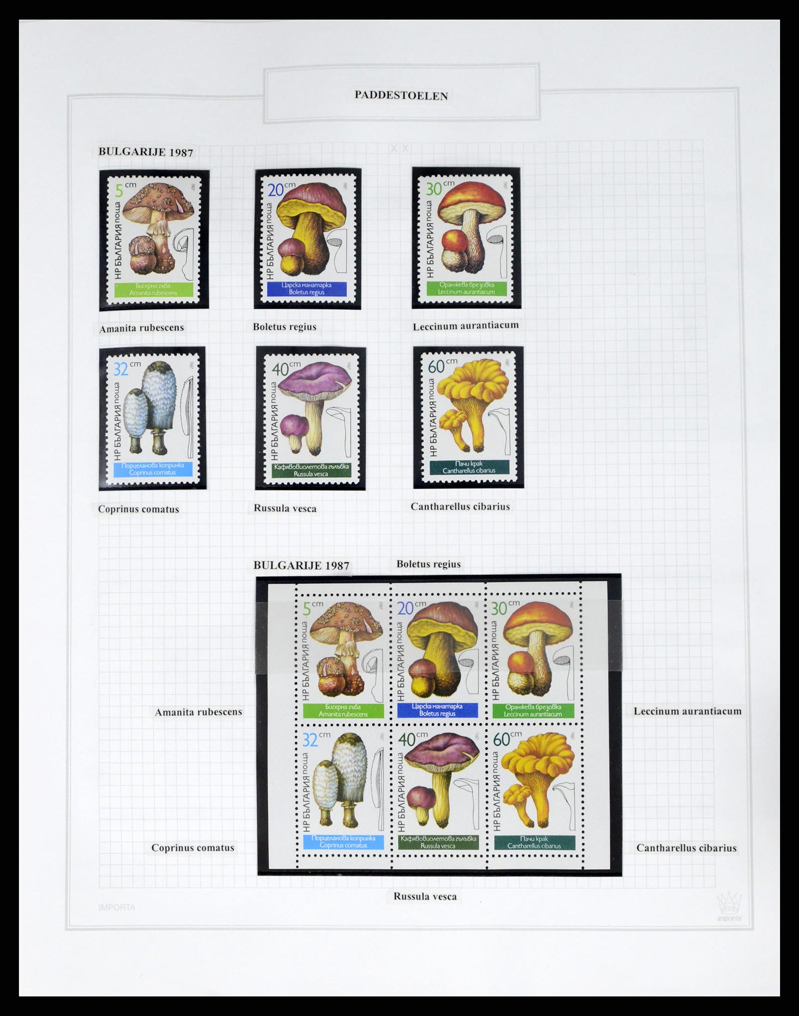 37299 0008 - Postzegelverzameling 37299 Motief dieren 1950-2000.