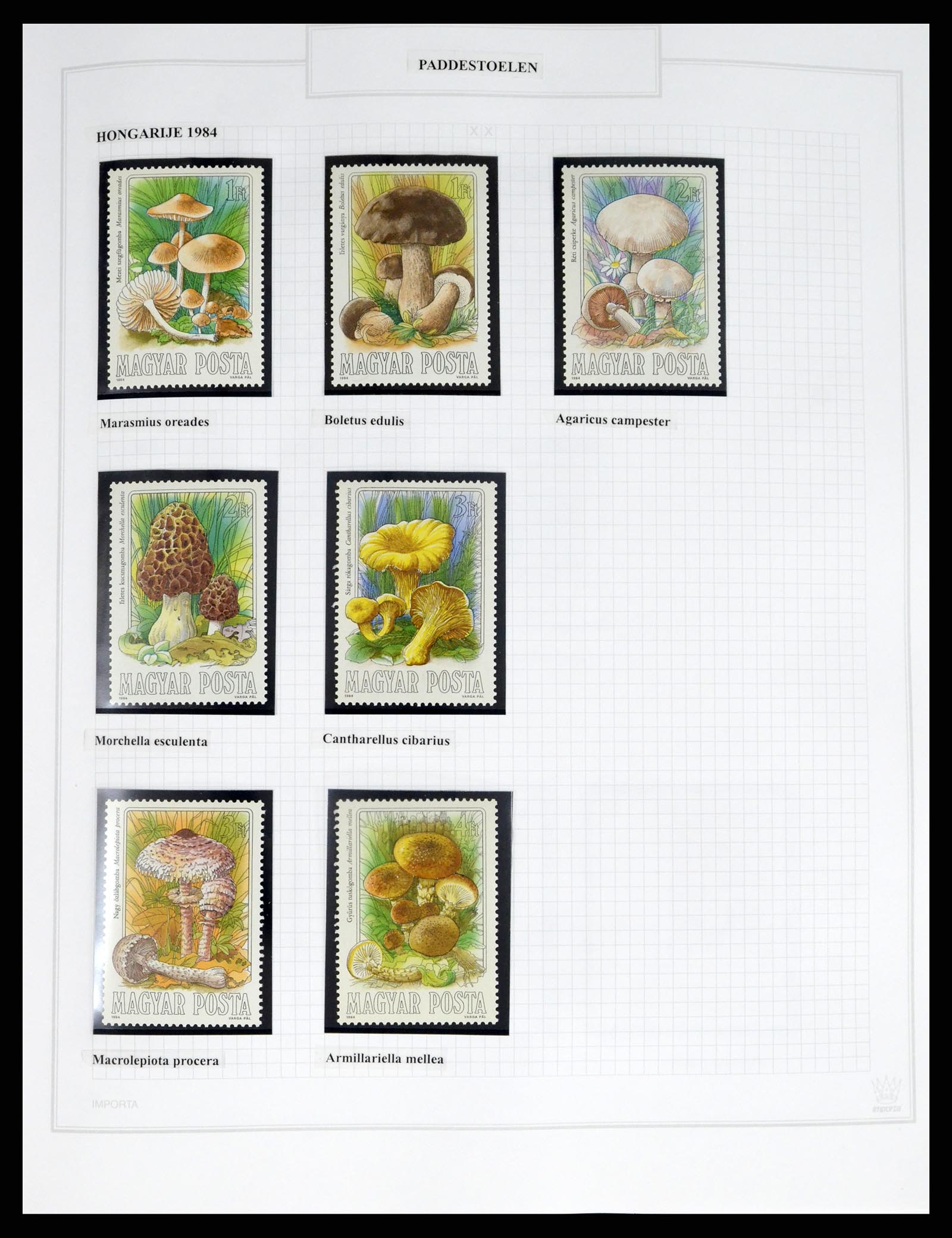 37299 0016 - Postzegelverzameling 37299 Motief dieren 1950-2000.