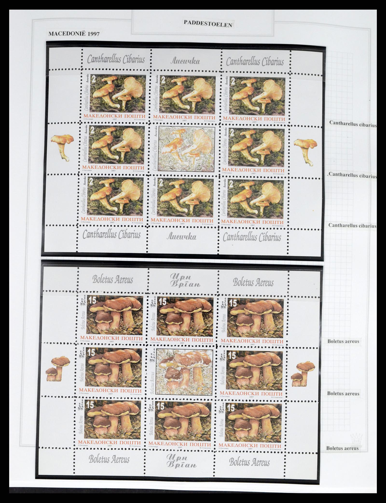 37299 0025 - Stamp collection 37299 Thematic Fauna 1950-2000.